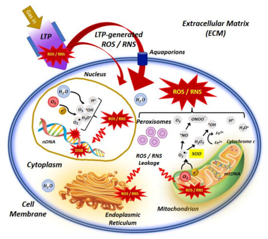 Biophysica 01 00005 g002 550