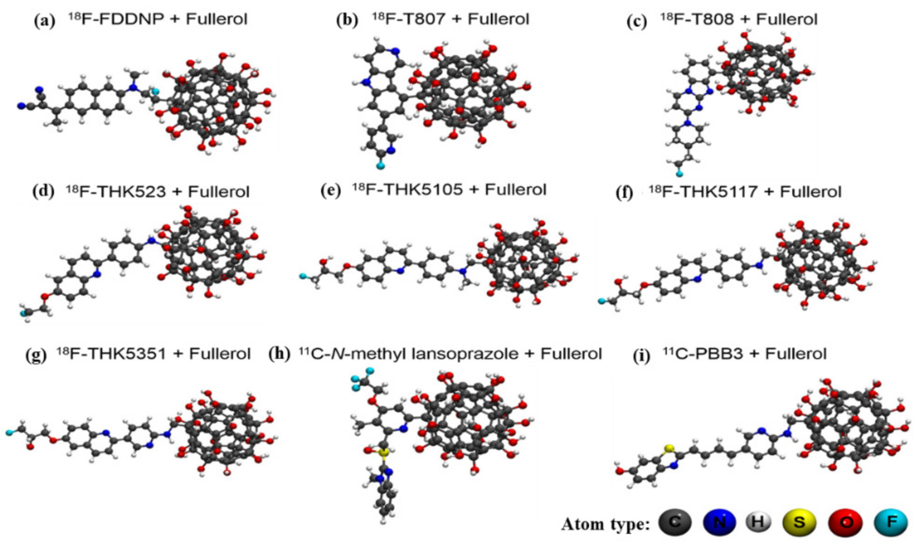 Biophysica 01 00007 g001