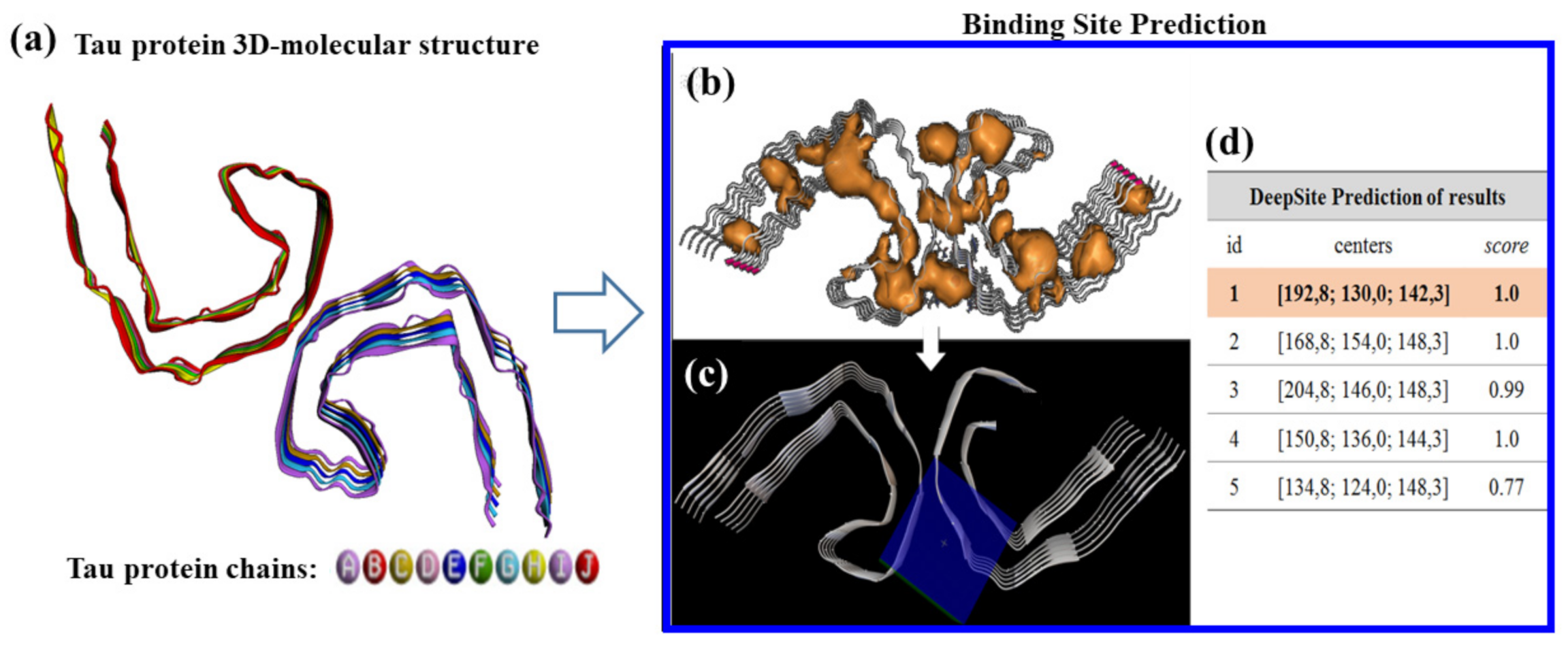Biophysica 01 00007 g002
