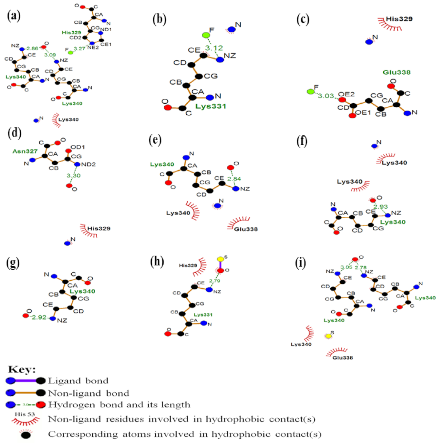 Biophysica 01 00007 g003