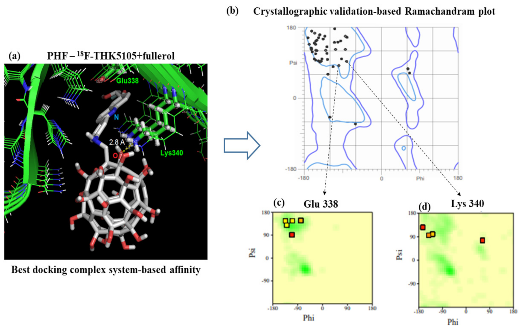 Biophysica 01 00007 g004