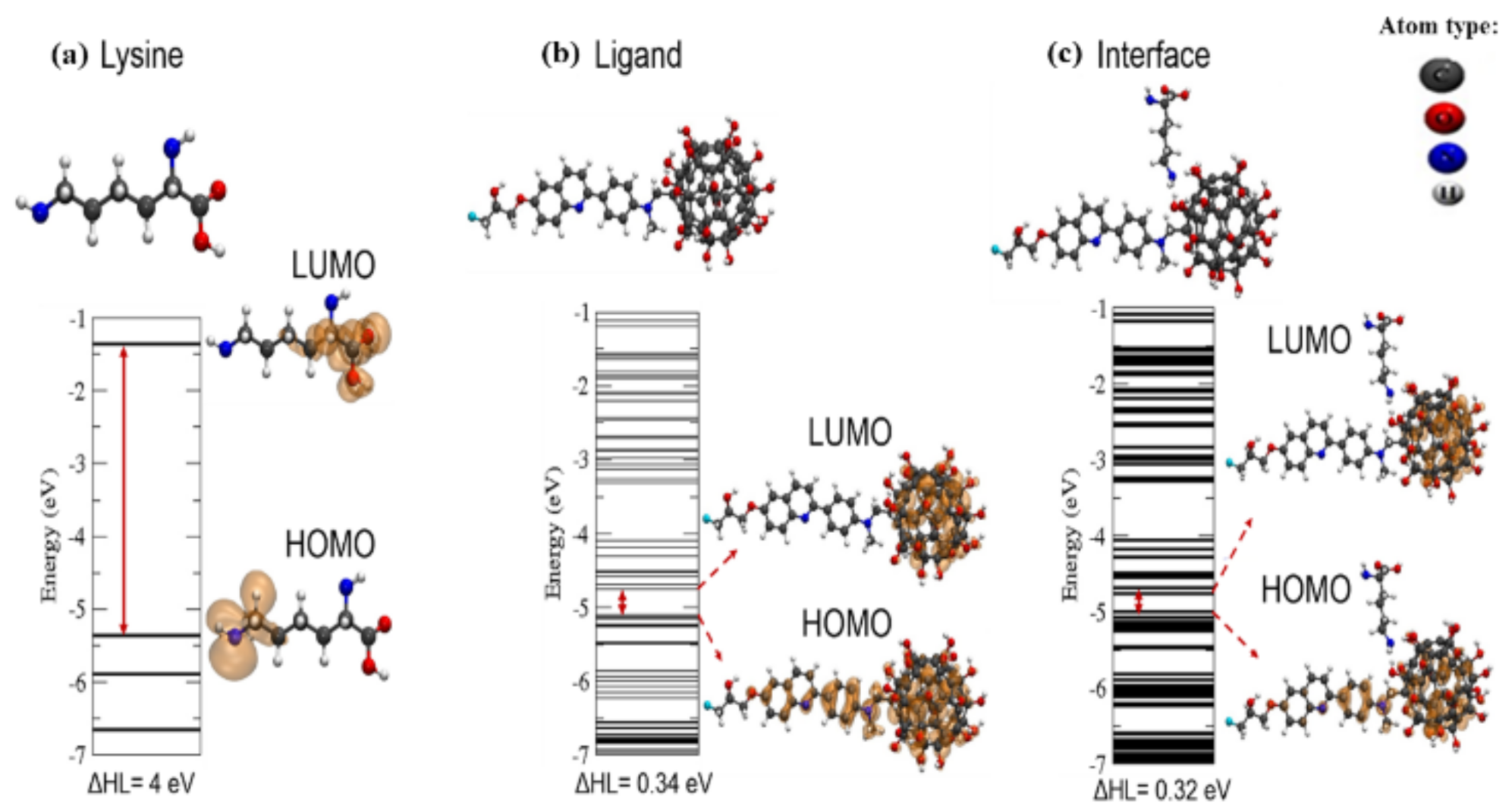 Biophysica 01 00007 g005