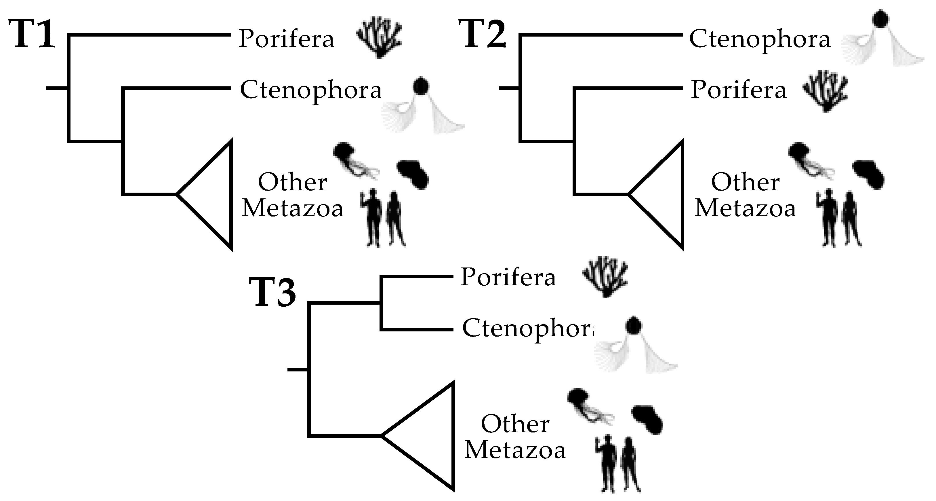 Biophysica 01 00008 g001 Biophysica 01 00008 g001
