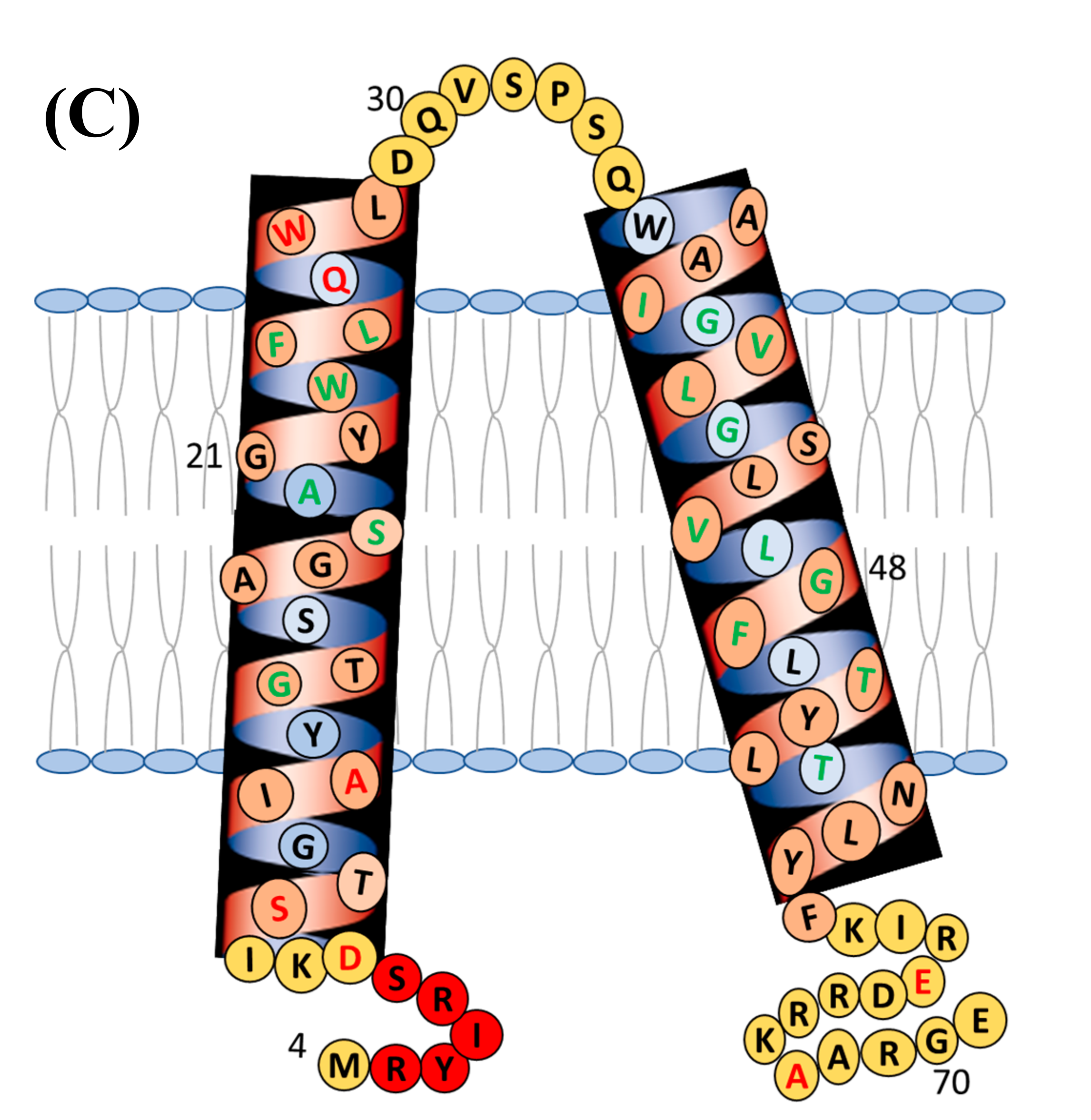Biophysica 01 00009 g003b Biophysica 01 00009 g003b