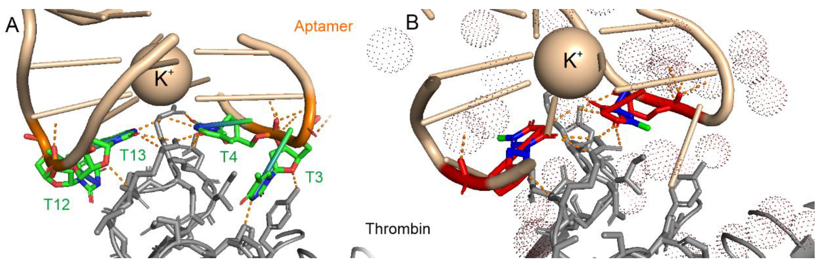 Biophysica 01 00014 g001