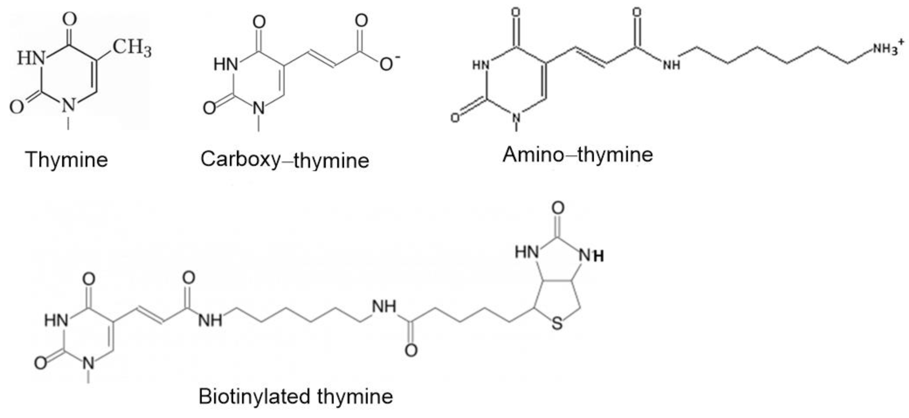 Biophysica 01 00014 g003