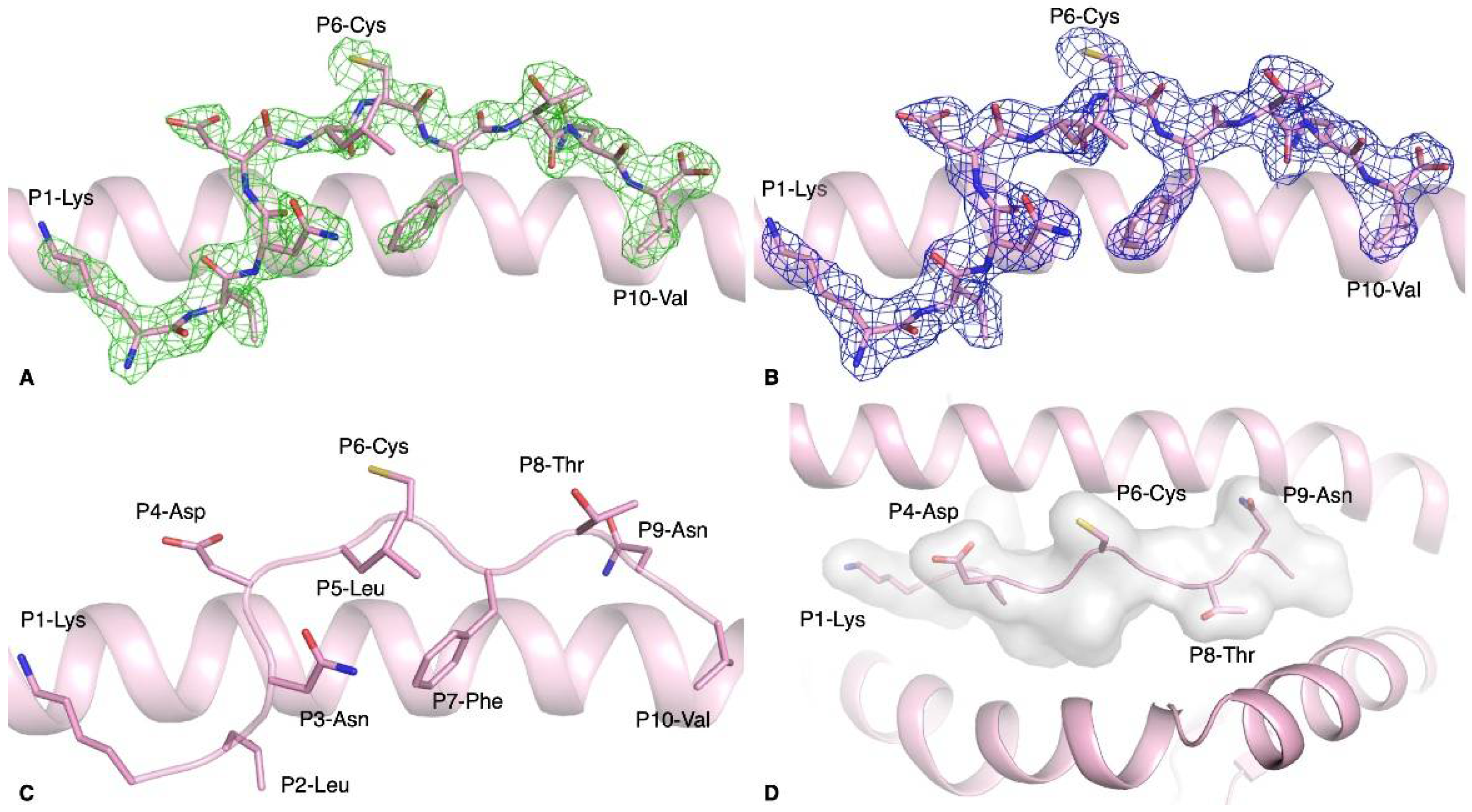 Biophysica 01 00015 g001 Biophysica 01 00015 g001