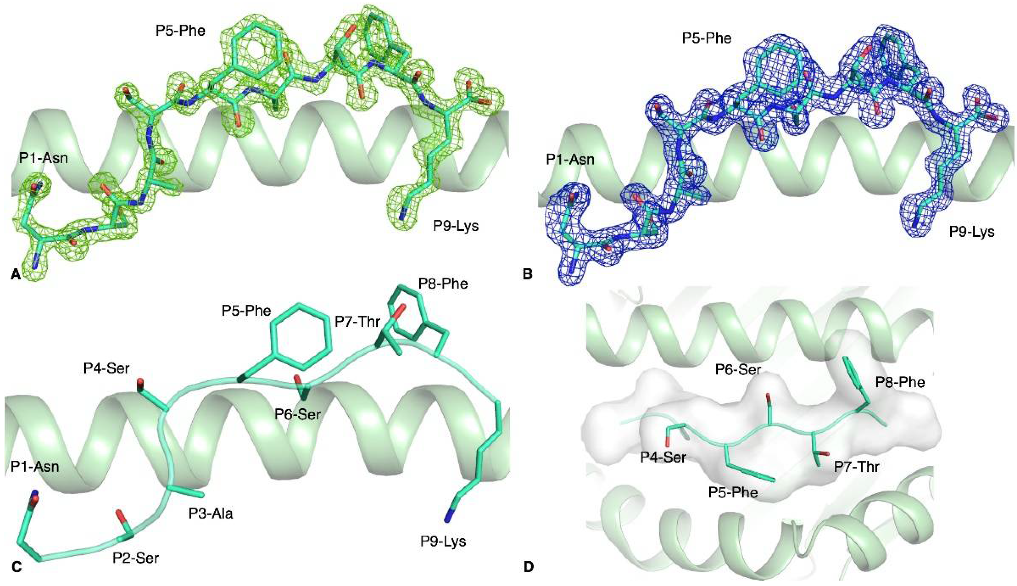 Biophysica 01 00015 g002 Biophysica 01 00015 g002