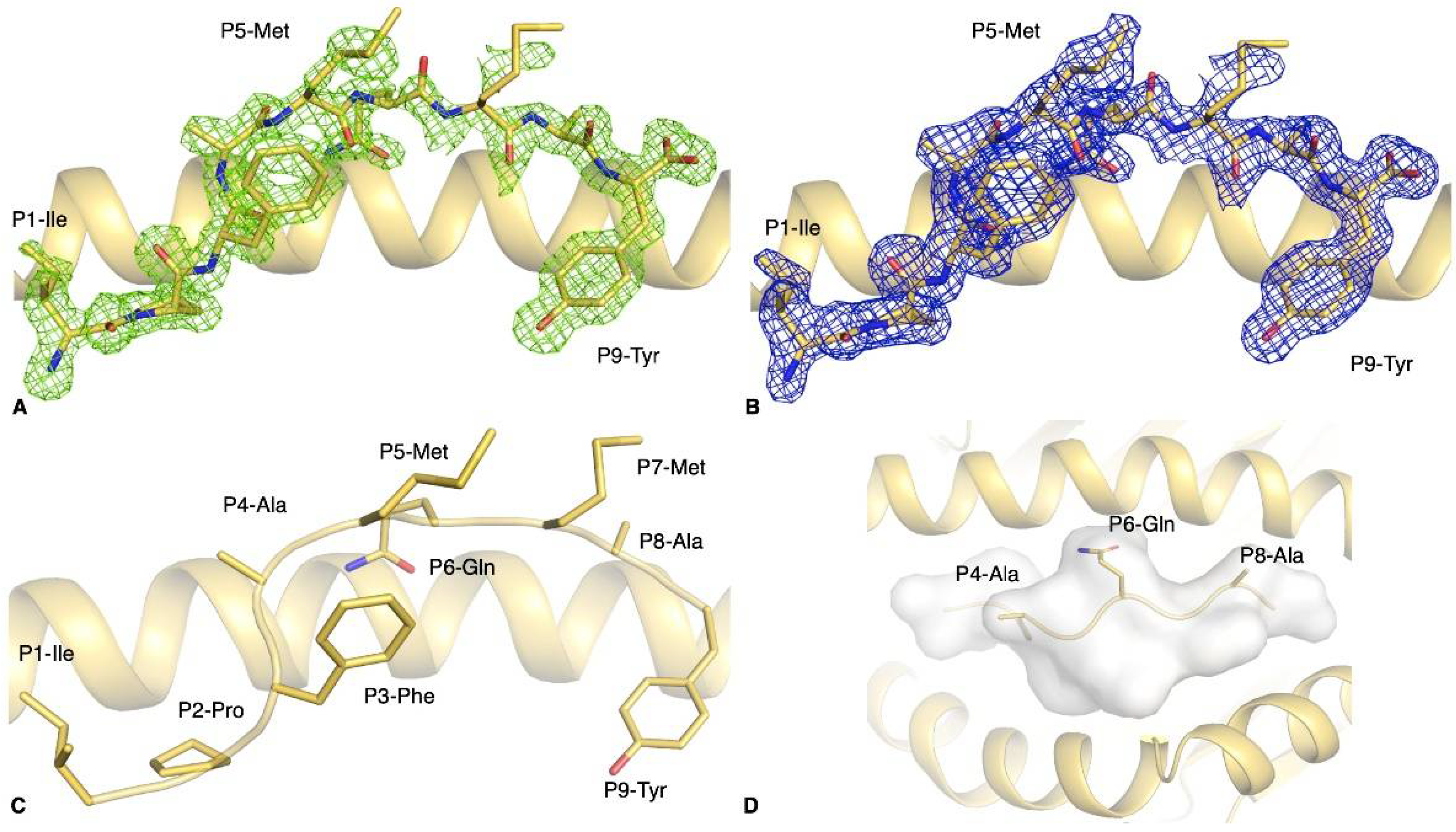 Biophysica 01 00015 g003 Biophysica 01 00015 g003