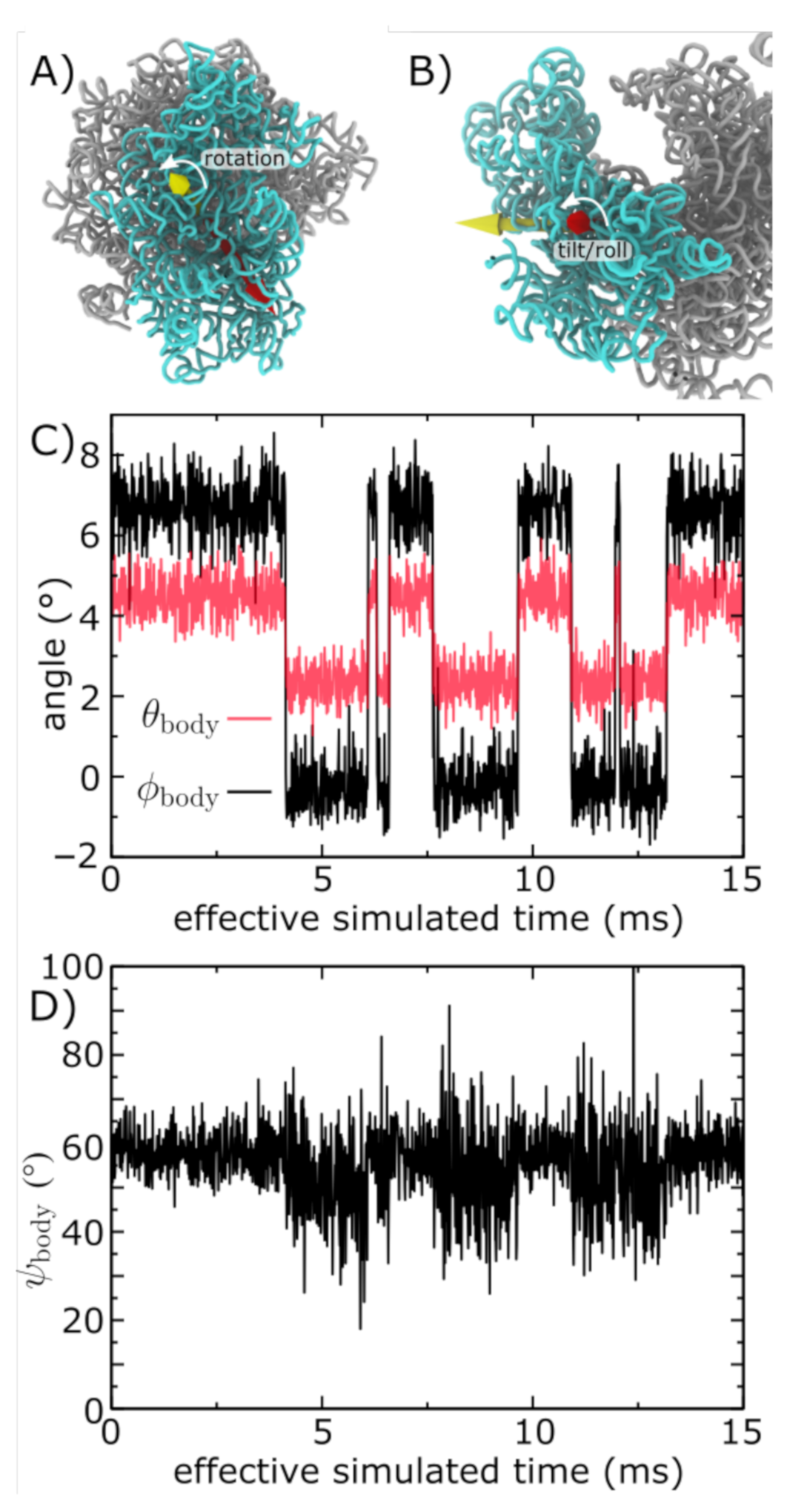 Biophysica 01 00016 g002 Biophysica 01 00016 g002