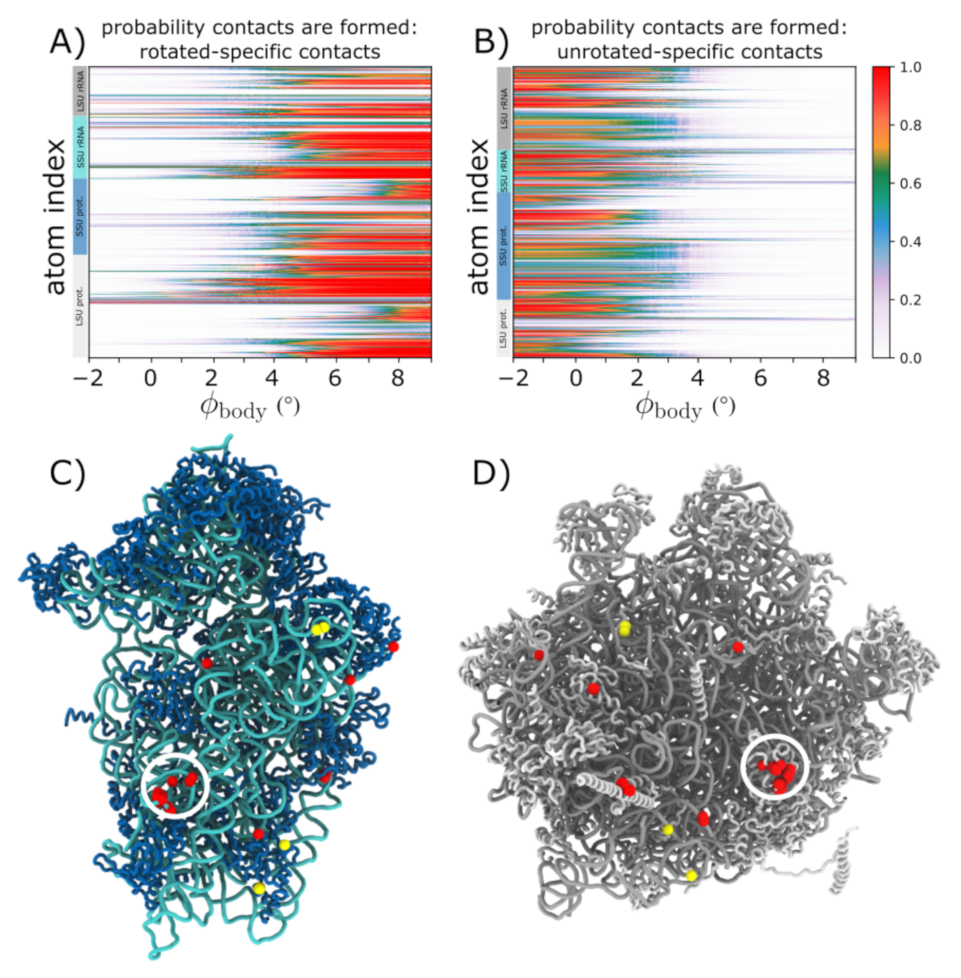 Biophysica 01 00016 g004 Biophysica 01 00016 g004