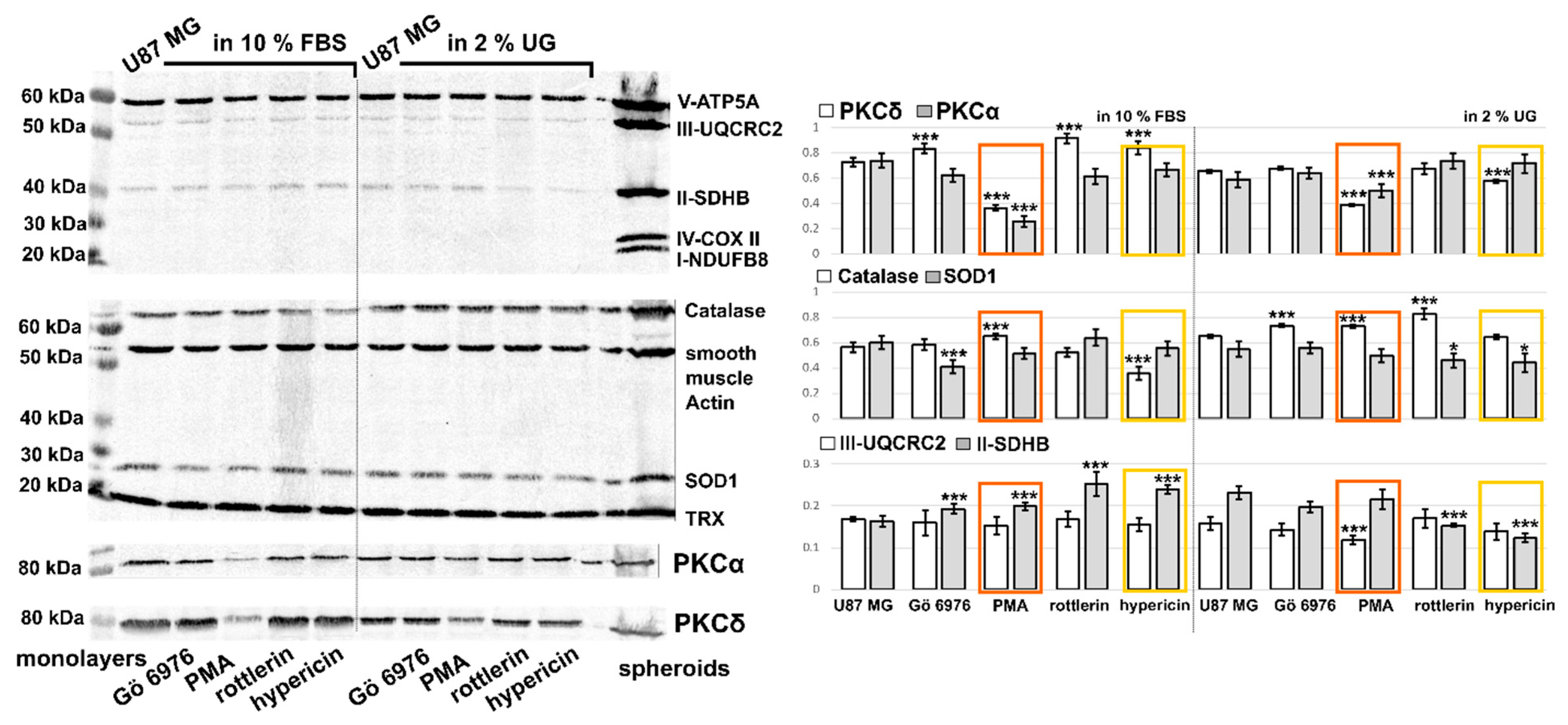 Biophysica 01 00017 g005 Biophysica 01 00017 g005