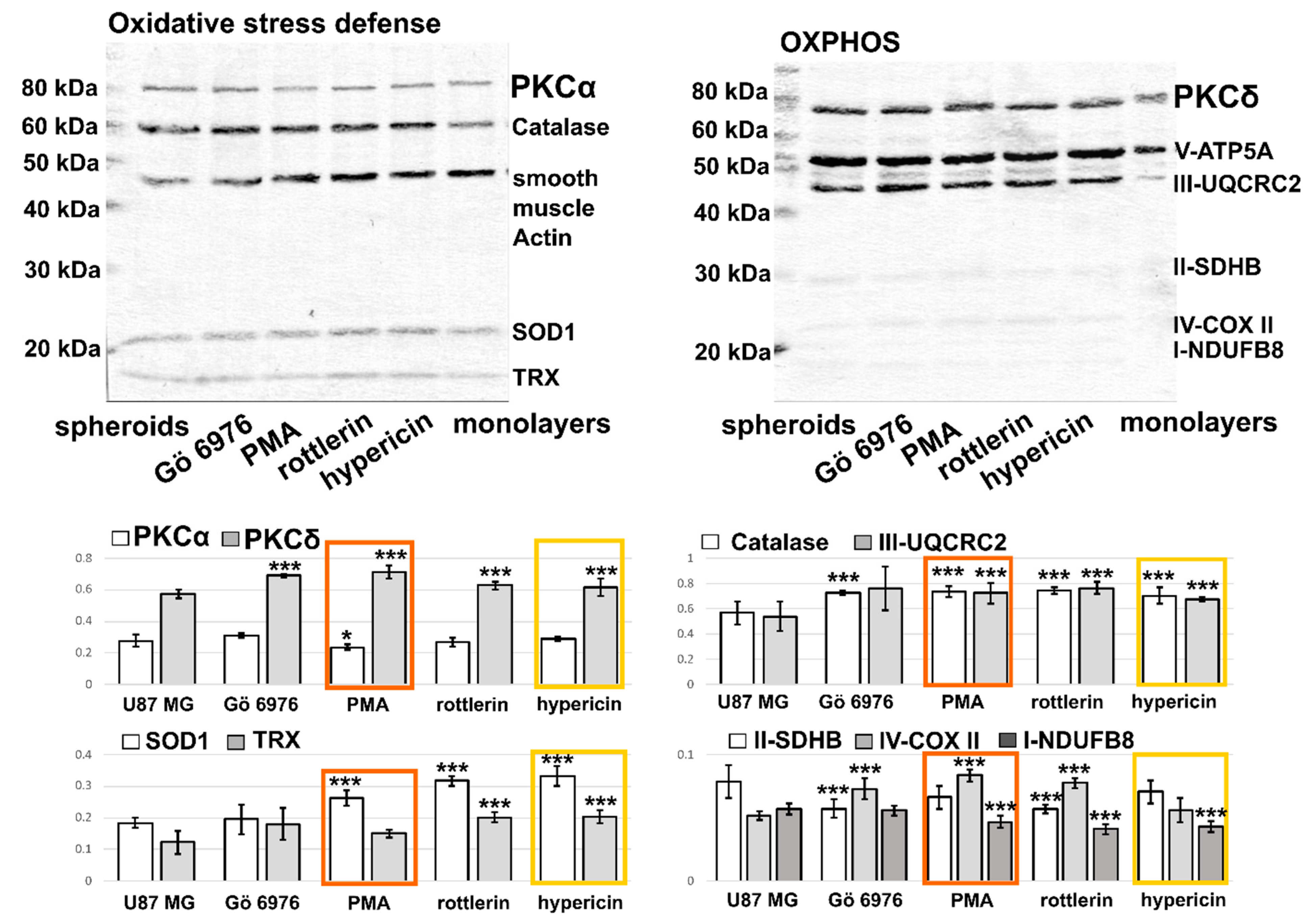 Biophysica 01 00017 g006 Biophysica 01 00017 g006