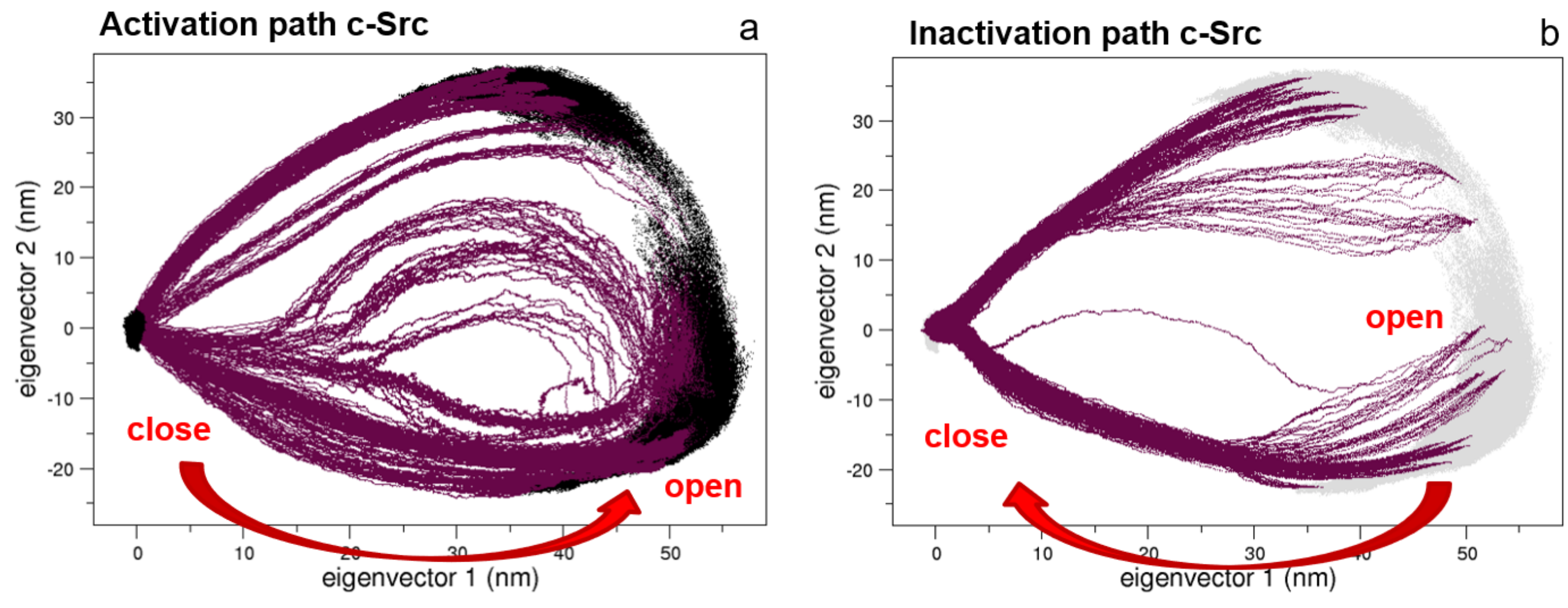 Biophysica 01 00018 g005 Biophysica 01 00018 g005