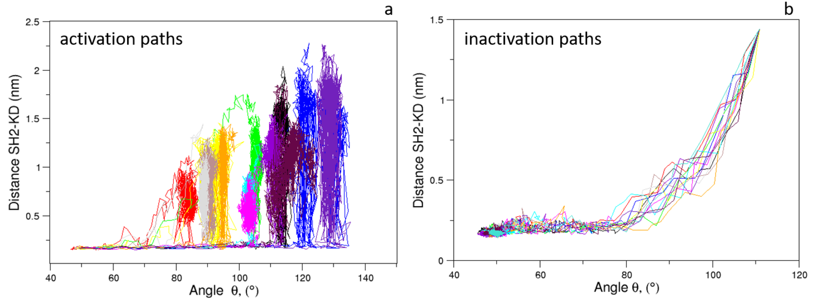 Biophysica 01 00018 g008 Biophysica 01 00018 g008