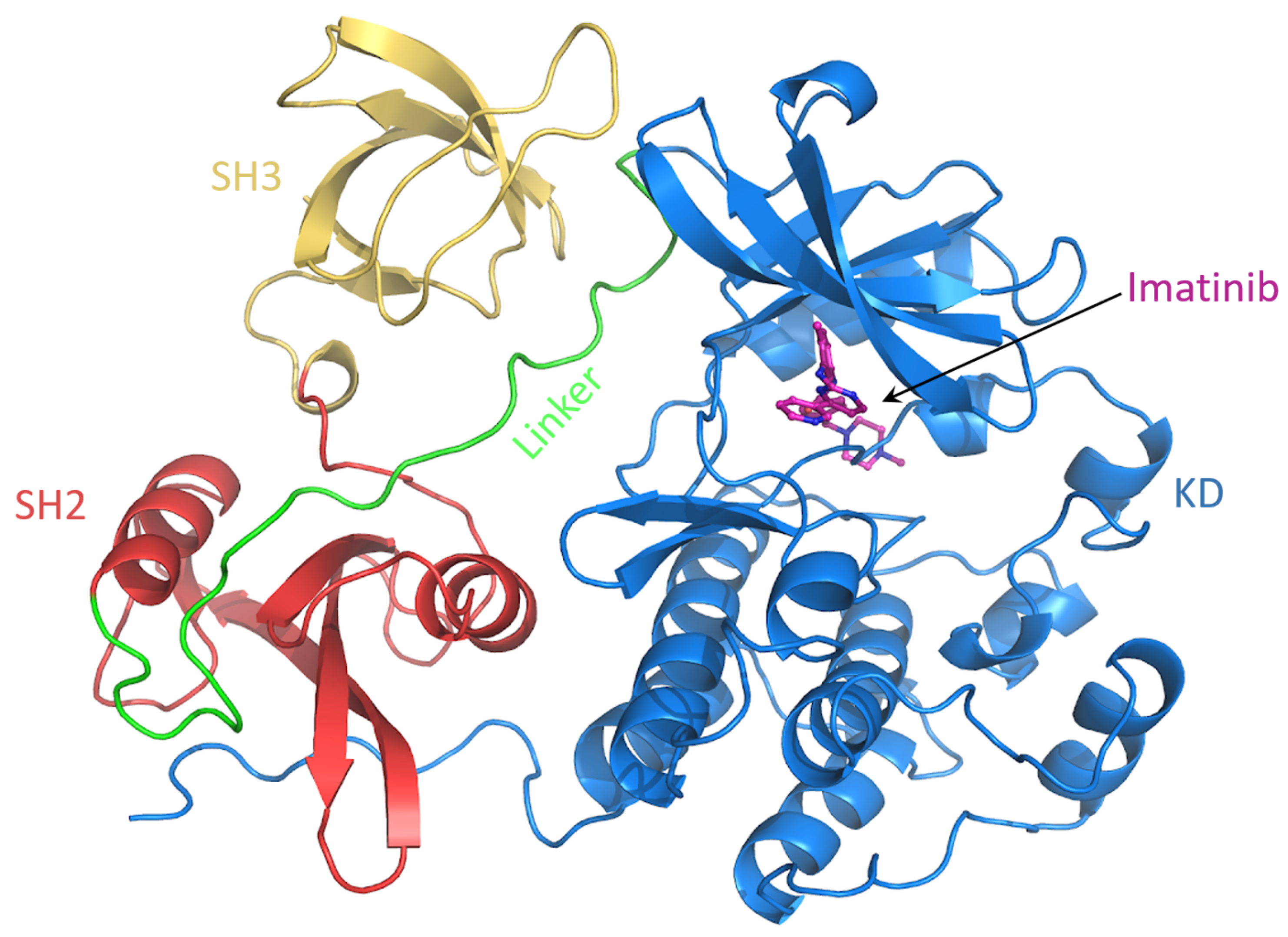 Biophysica 01 00018 g009 Biophysica 01 00018 g009