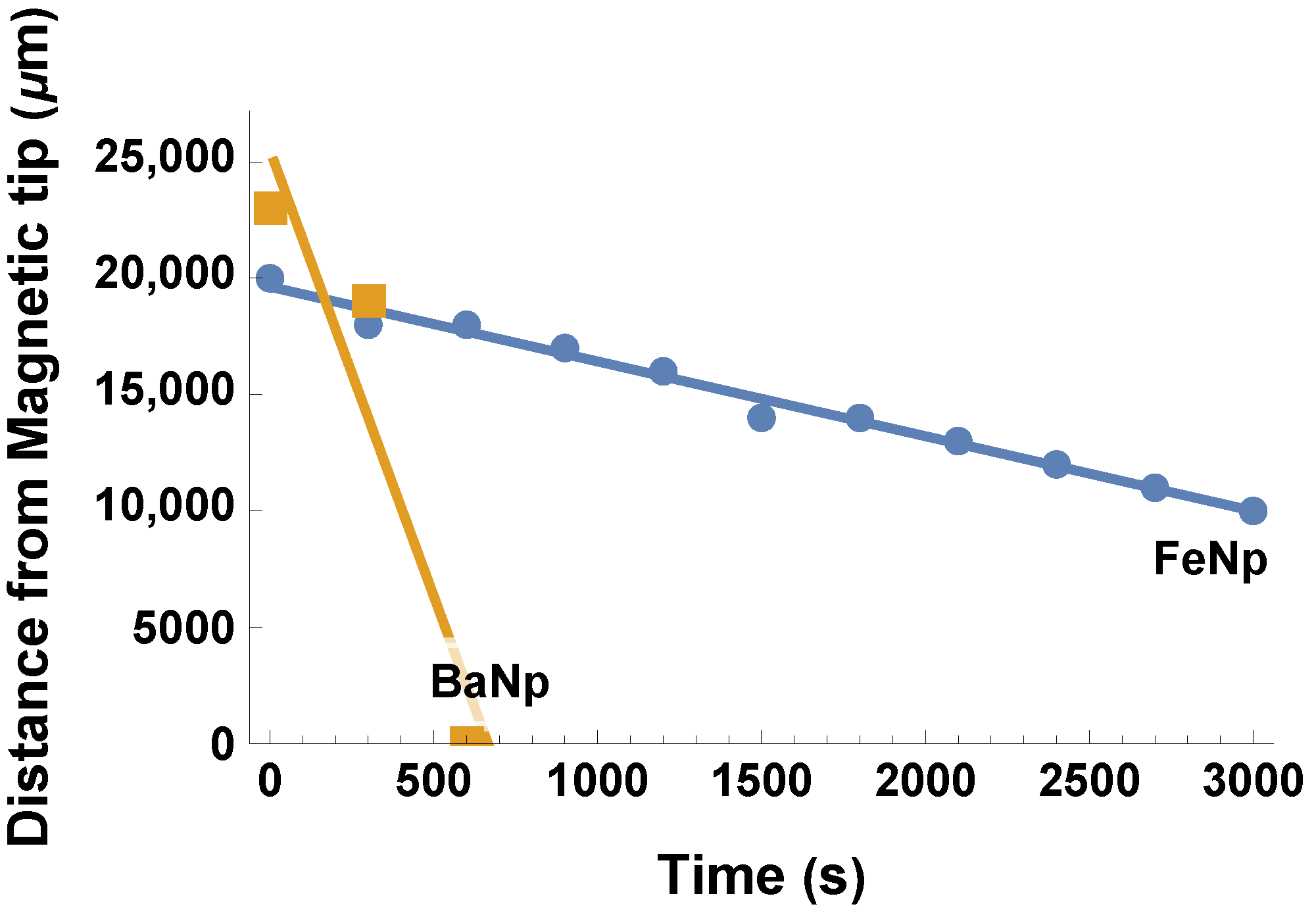 Biophysica 01 00019 g002