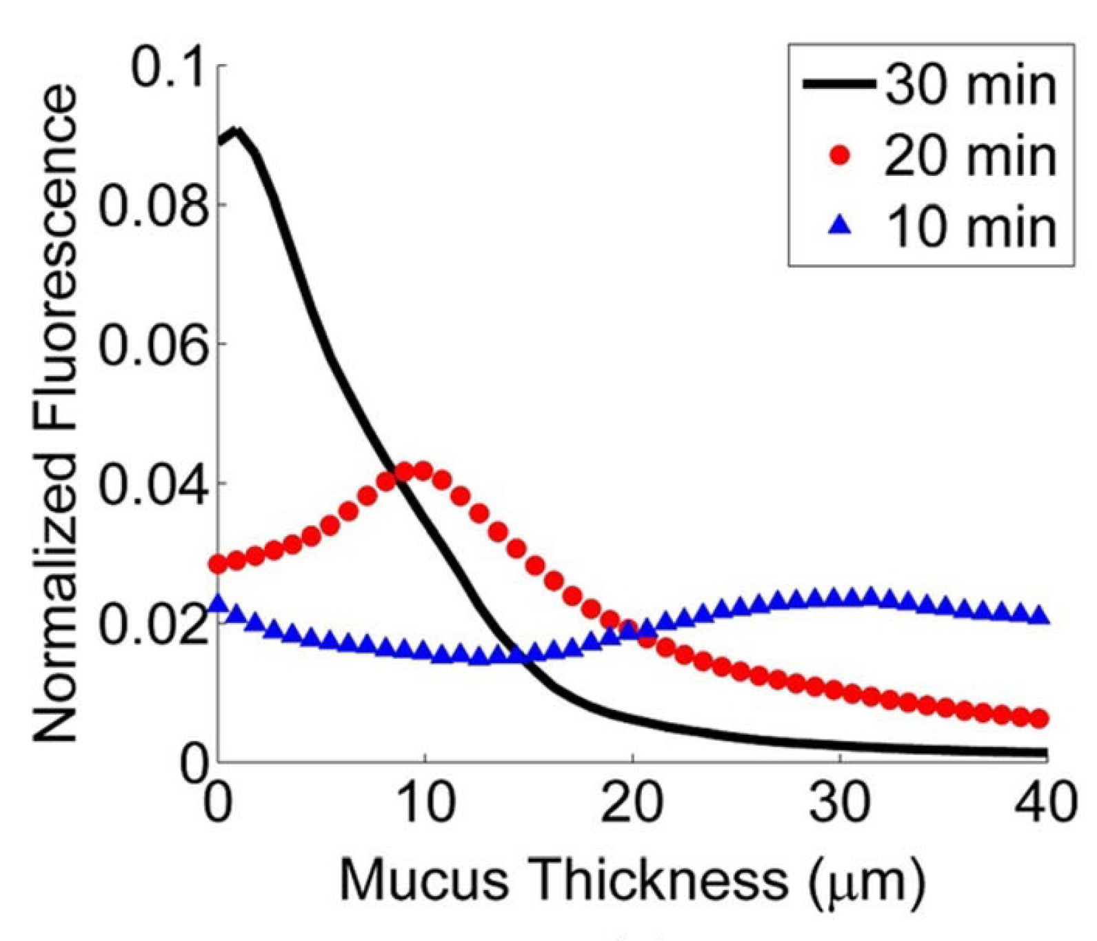 Biophysica 01 00019 g004
