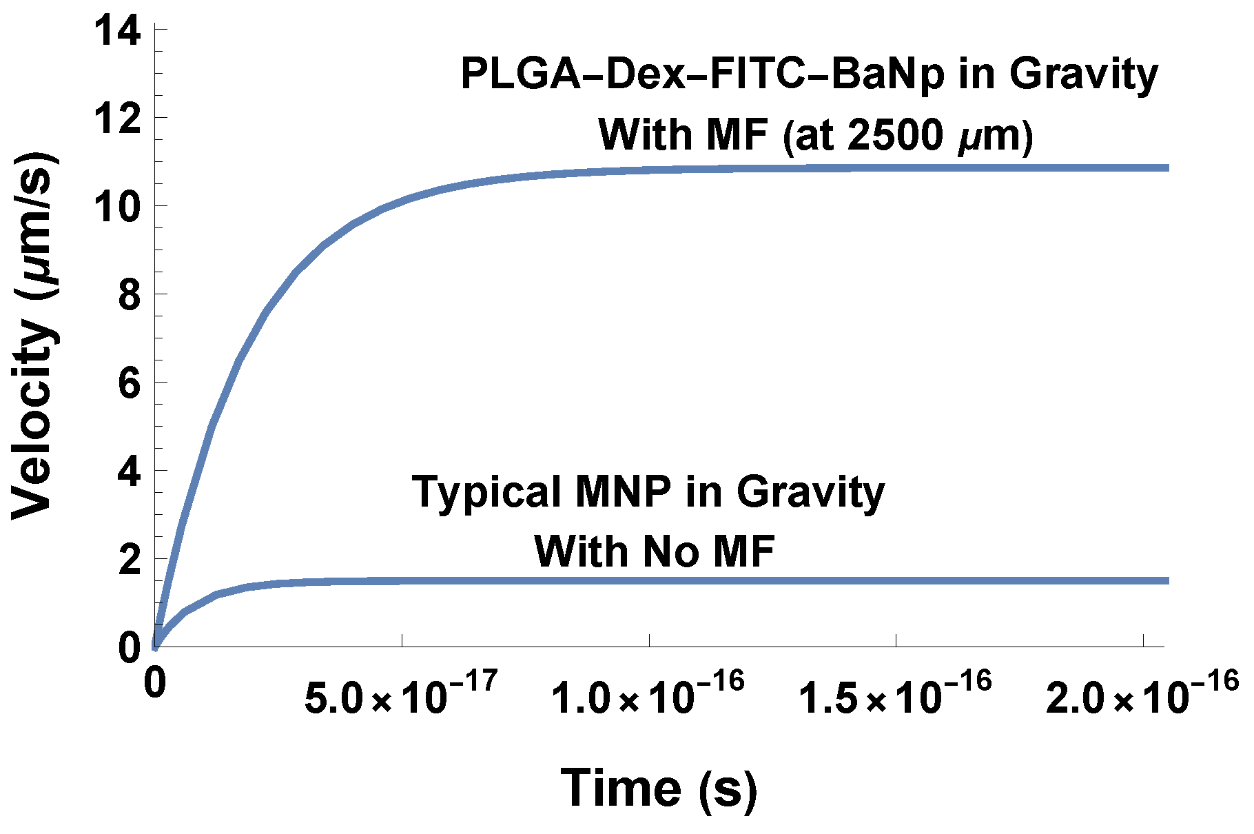 Biophysica 01 00019 g006