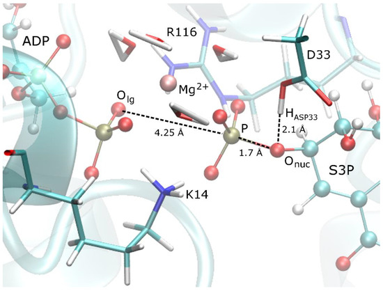 Biophysica Free Full Text Exploring The Mechanism Of Shikimate Kinase Through Quantum Mechanical And Molecular Mechanical Qm Mm Methods Html