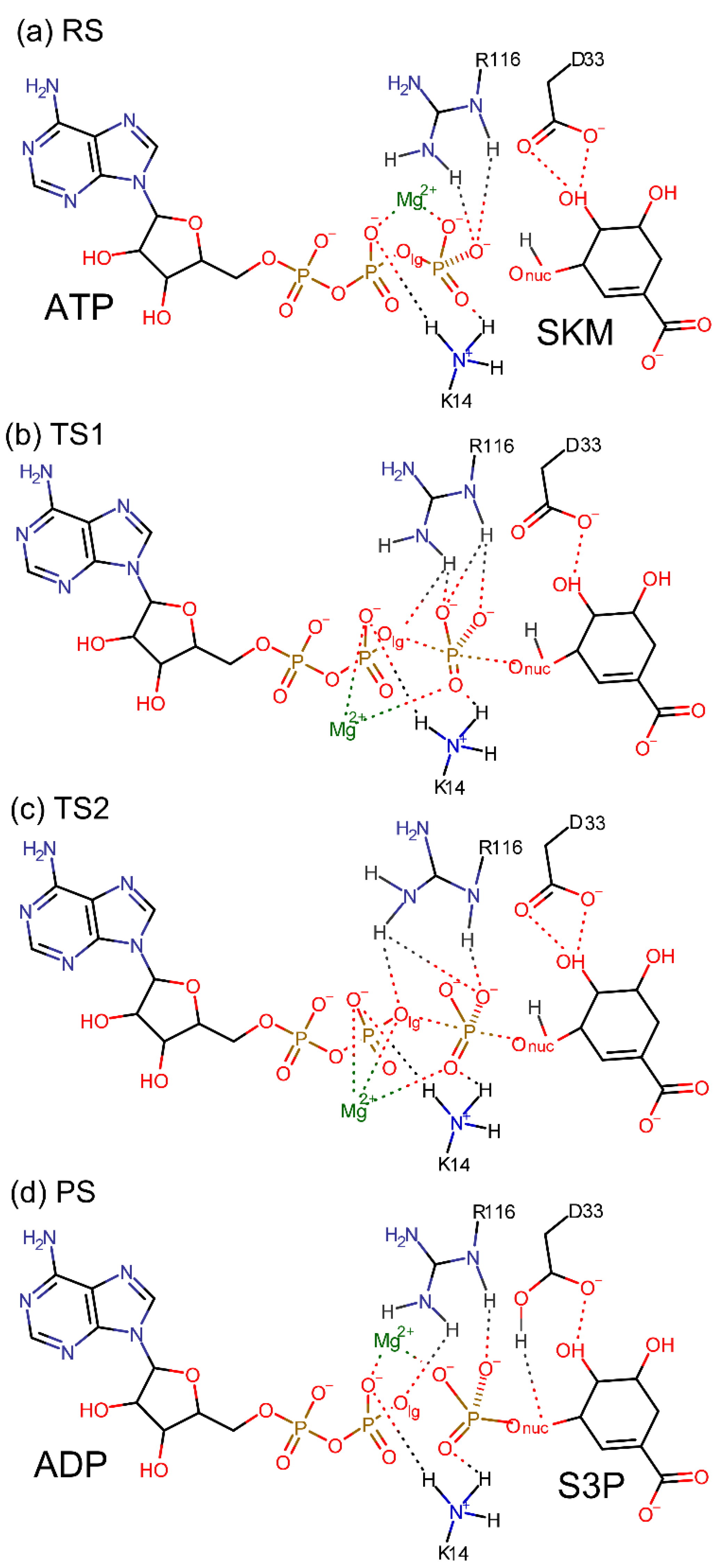 Biophysica 01 00025 g006 550