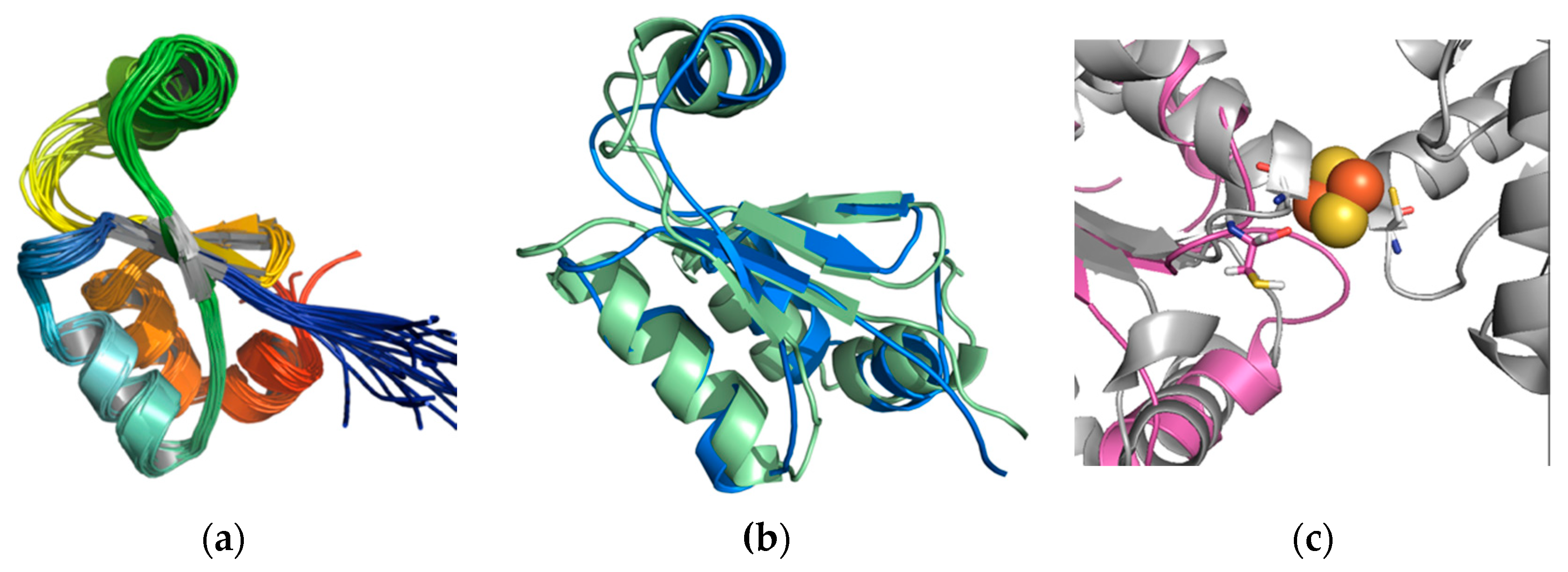 Biophysica 01 00027 g003 Biophysica 01 00027 g003