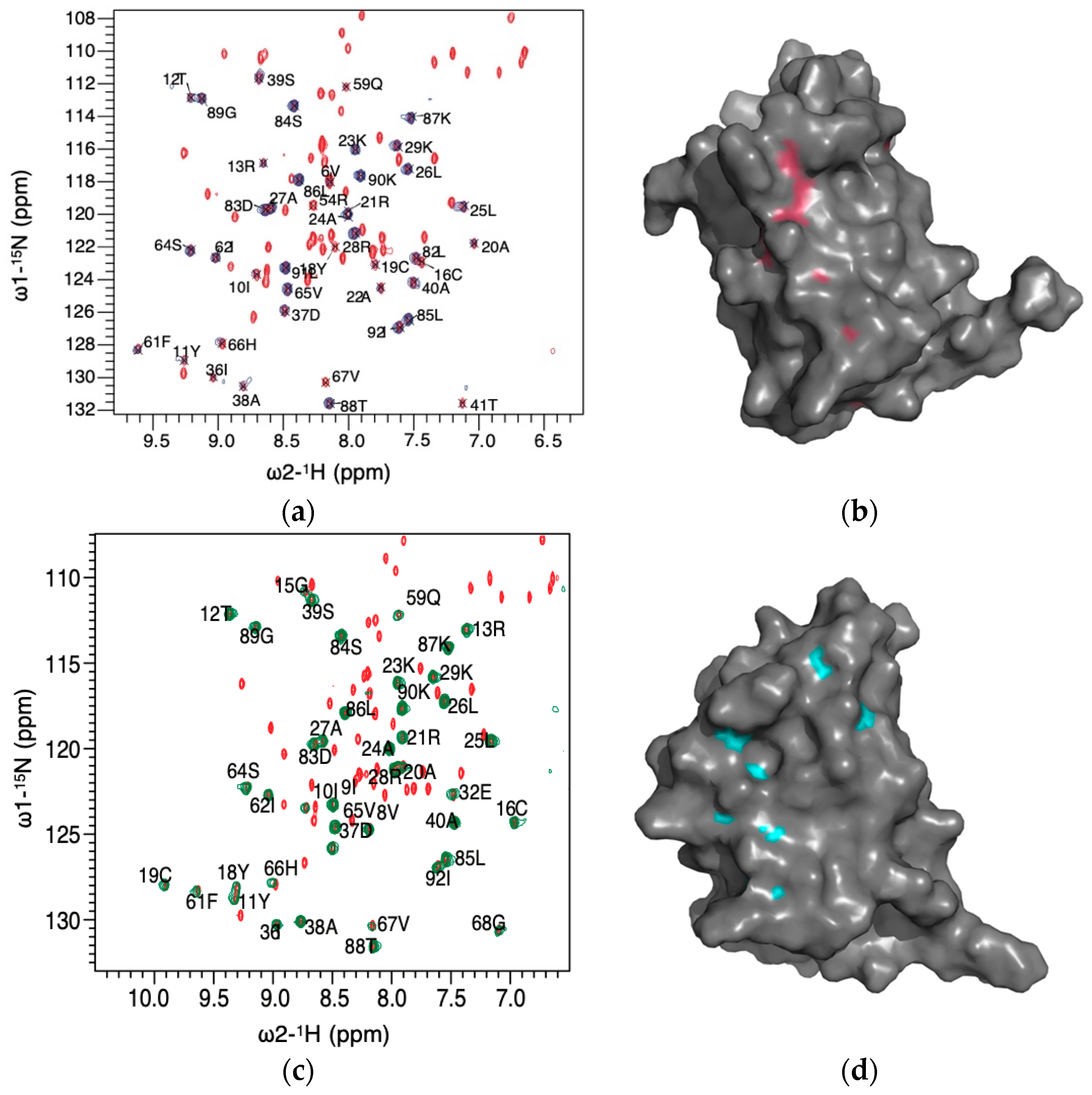 Biophysica 01 00027 g007 Biophysica 01 00027 g007
