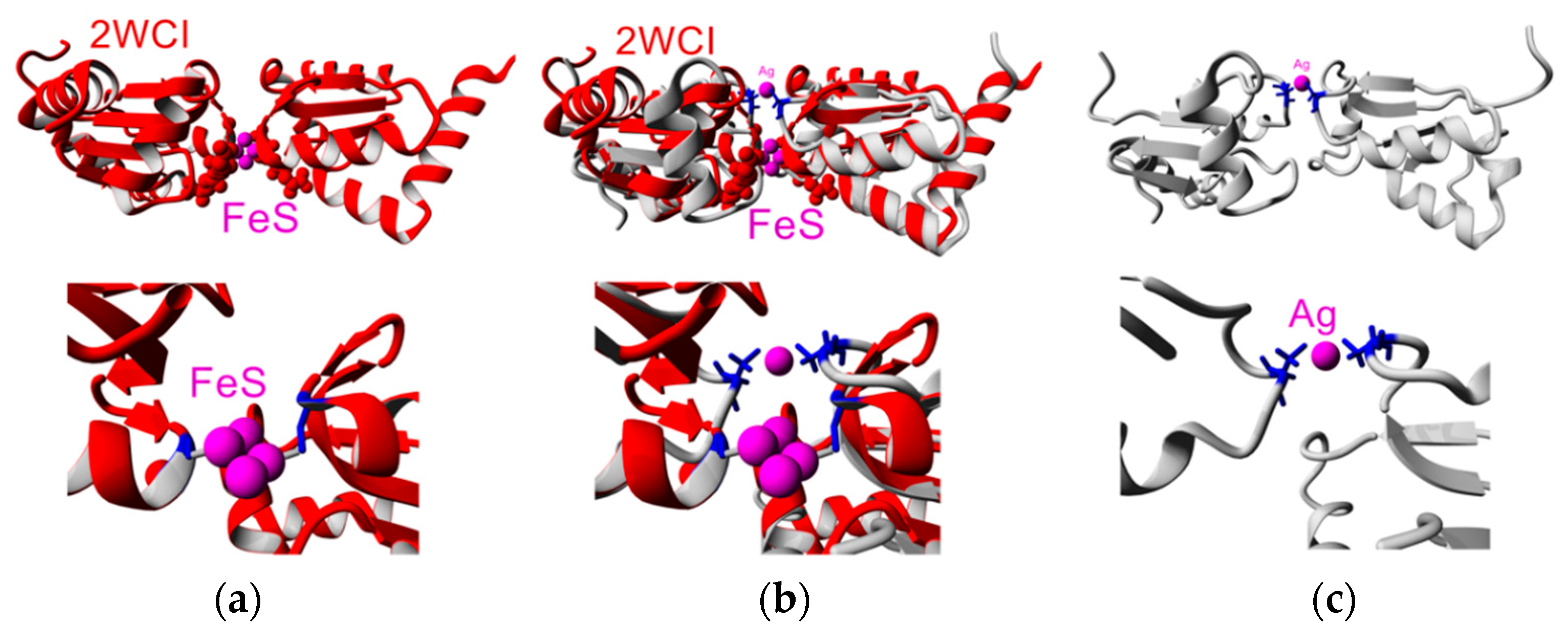 Biophysica 01 00027 g008 Biophysica 01 00027 g008