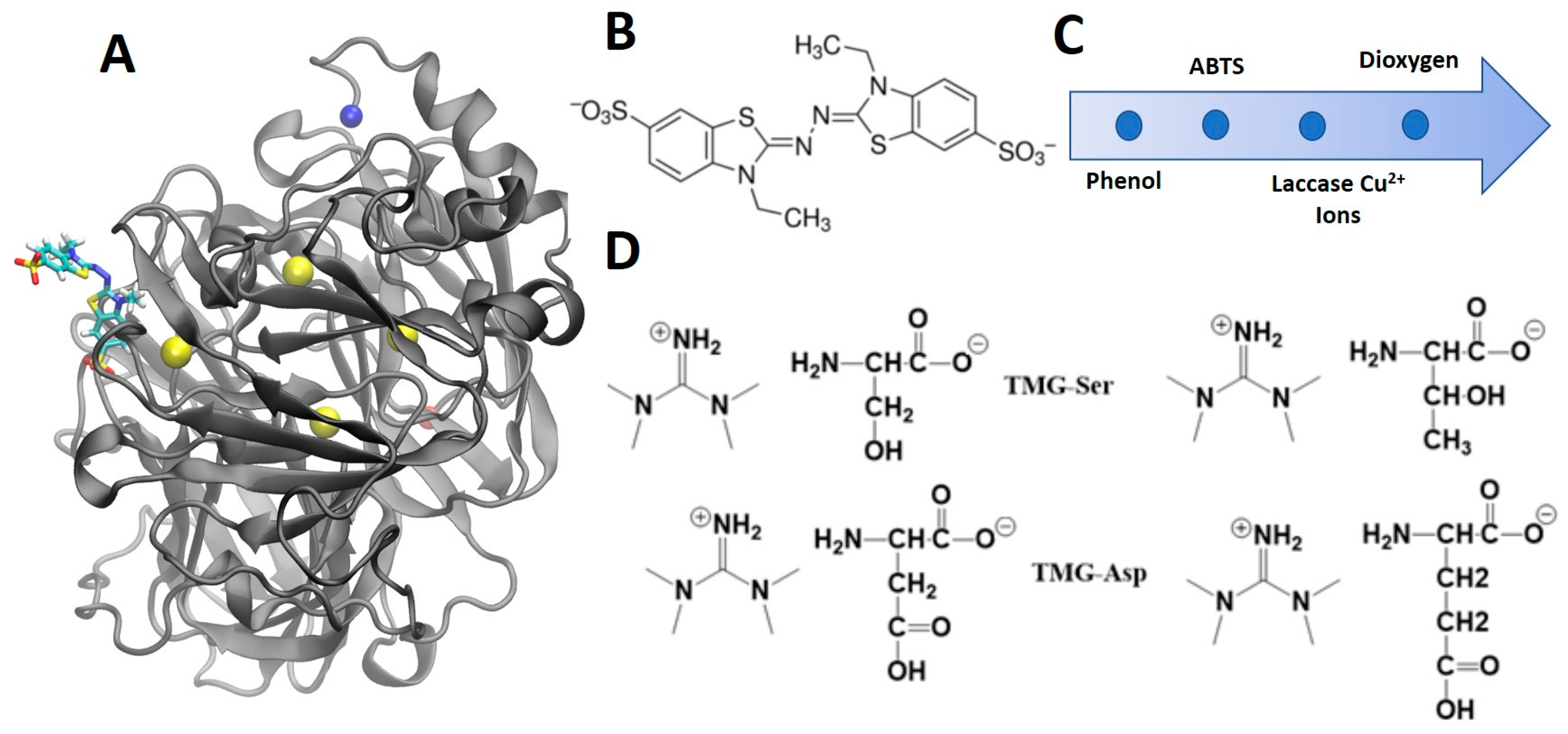 Biophysica 01 00031 g001 Biophysica 01 00031 g001