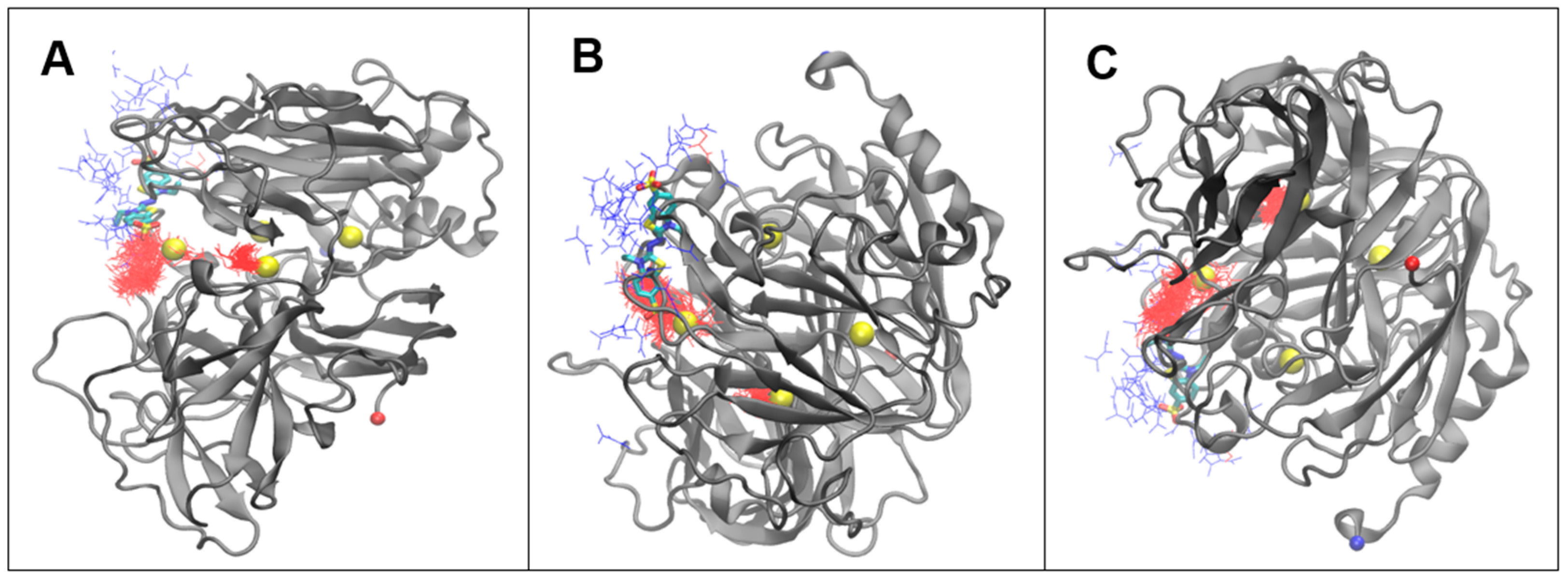Biophysica 01 00031 g009 Biophysica 01 00031 g009