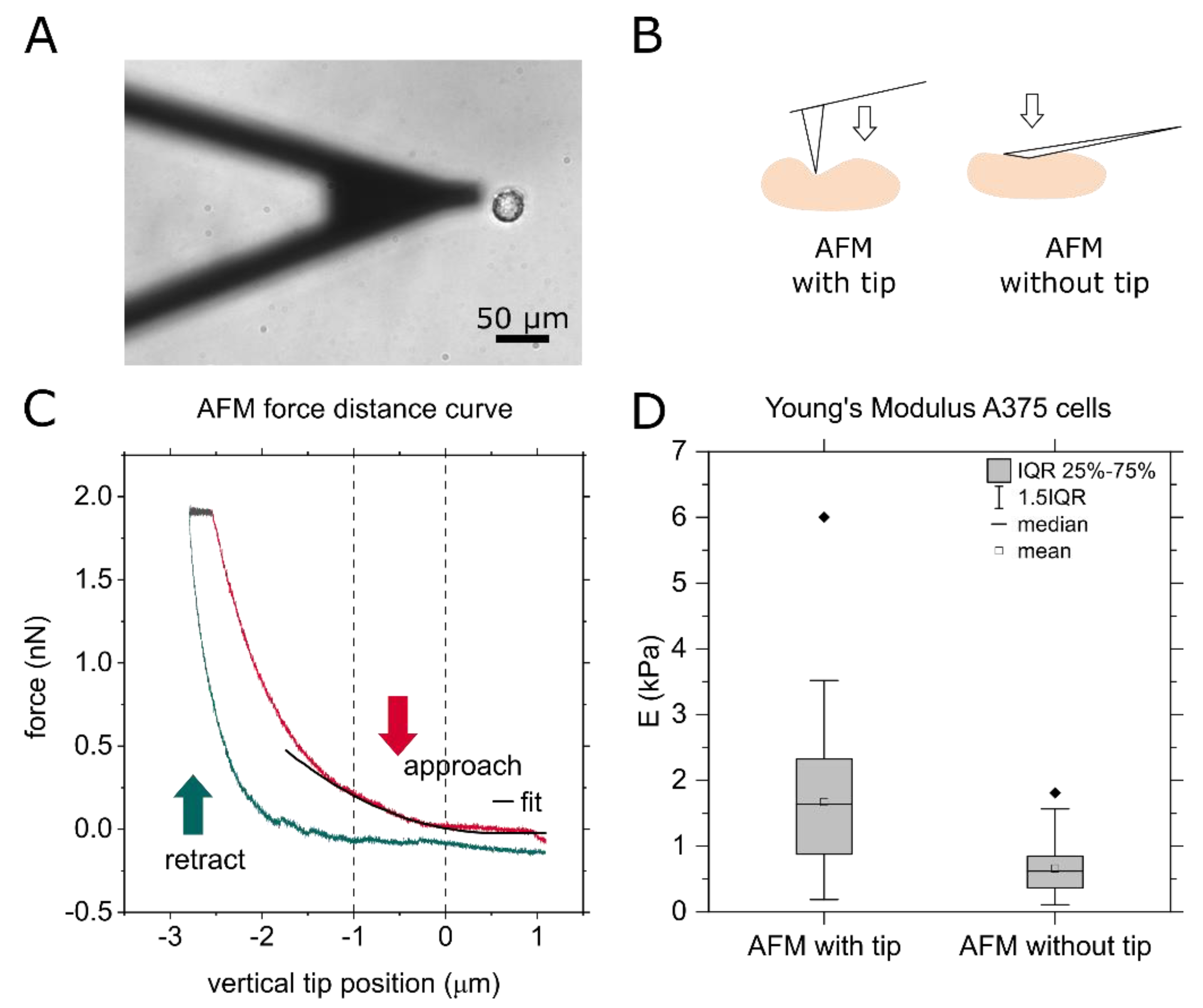 Biophysica 01 00032 g001