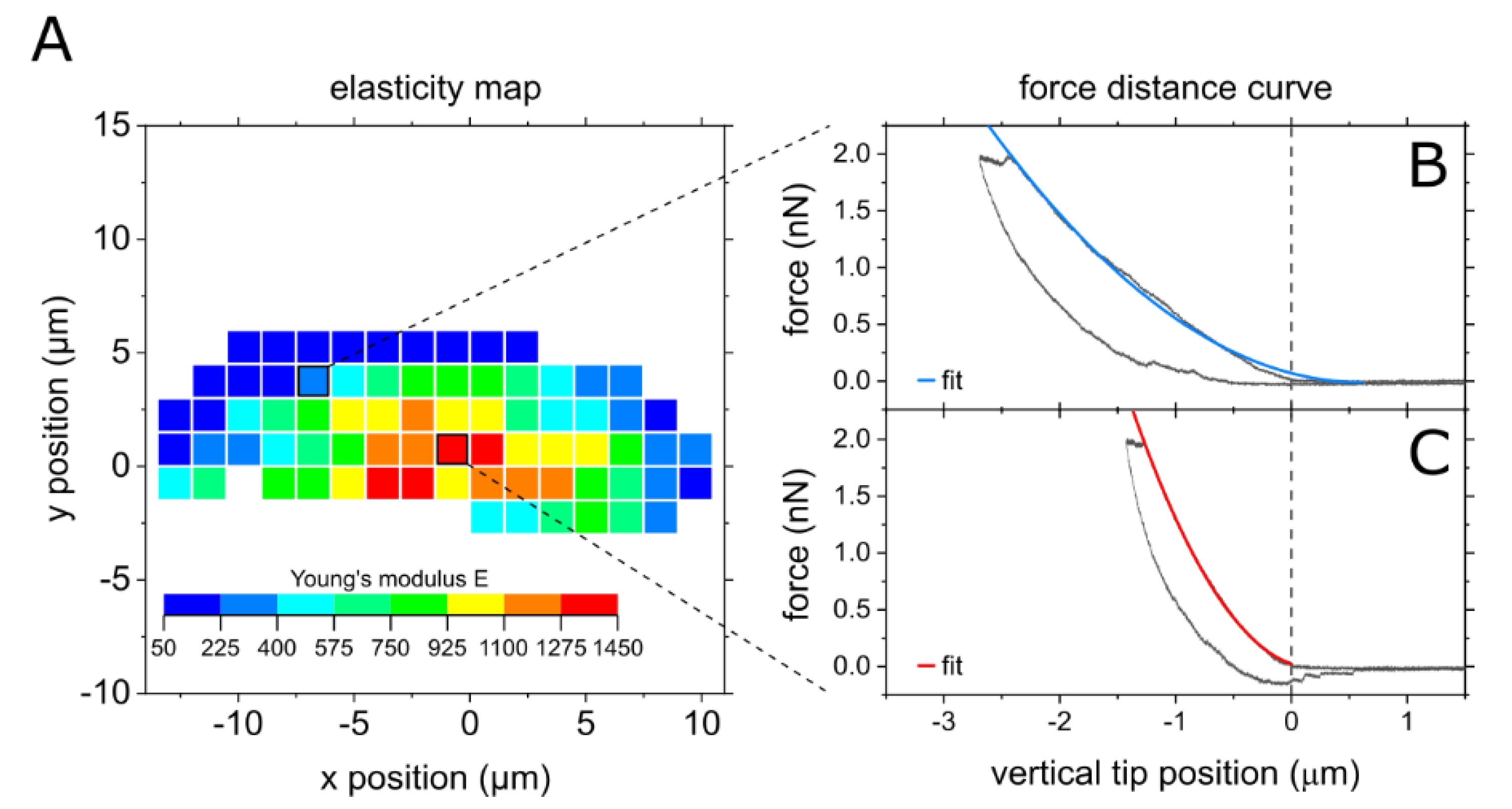 Biophysica 01 00032 g002