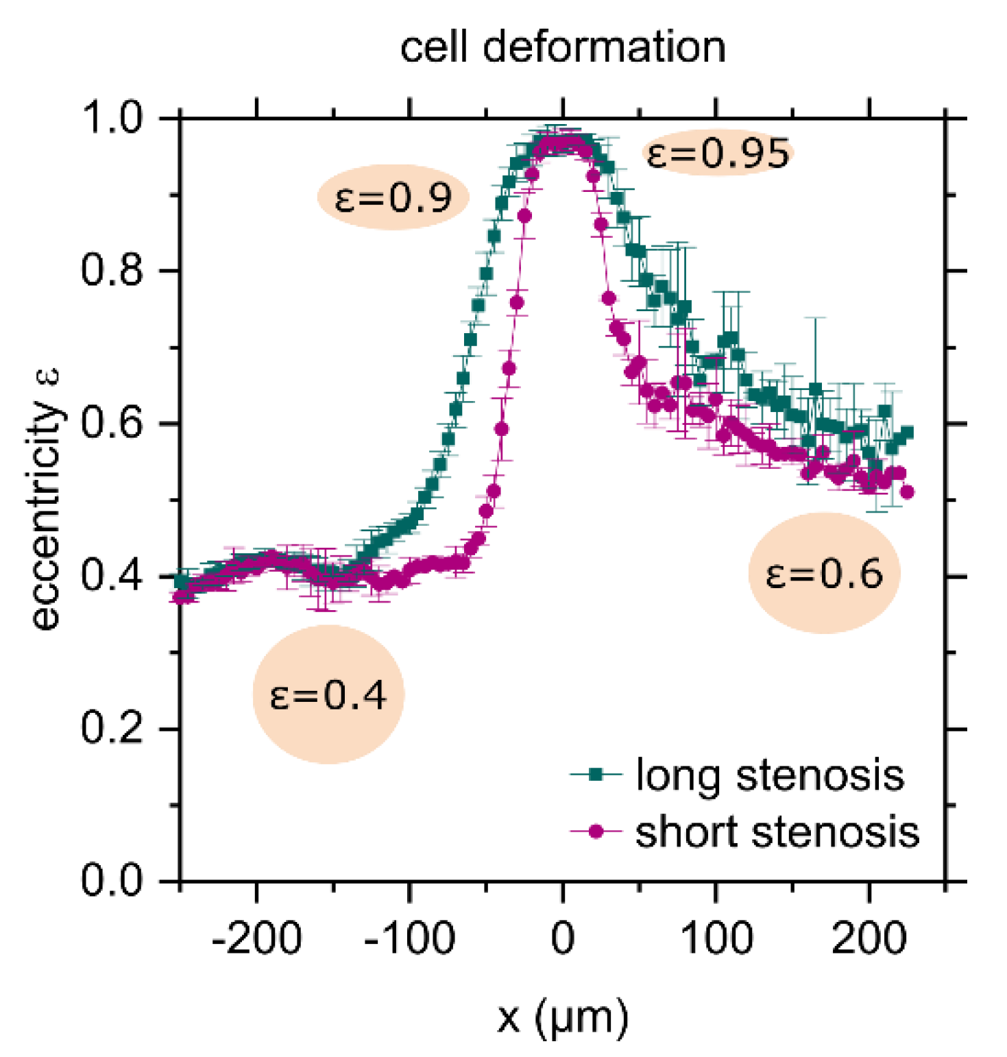 Biophysica 01 00032 g006