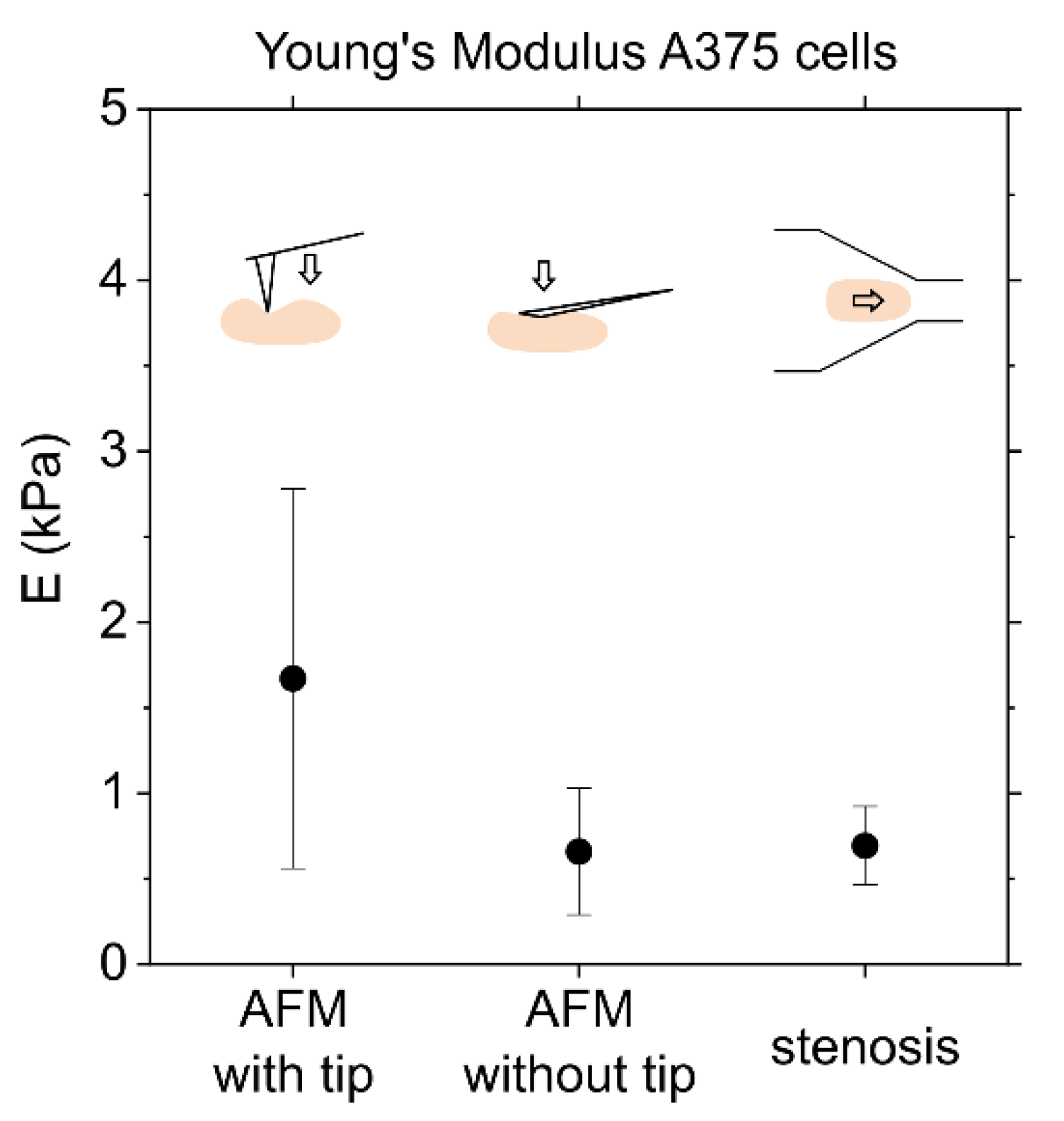 Biophysica 01 00032 g007