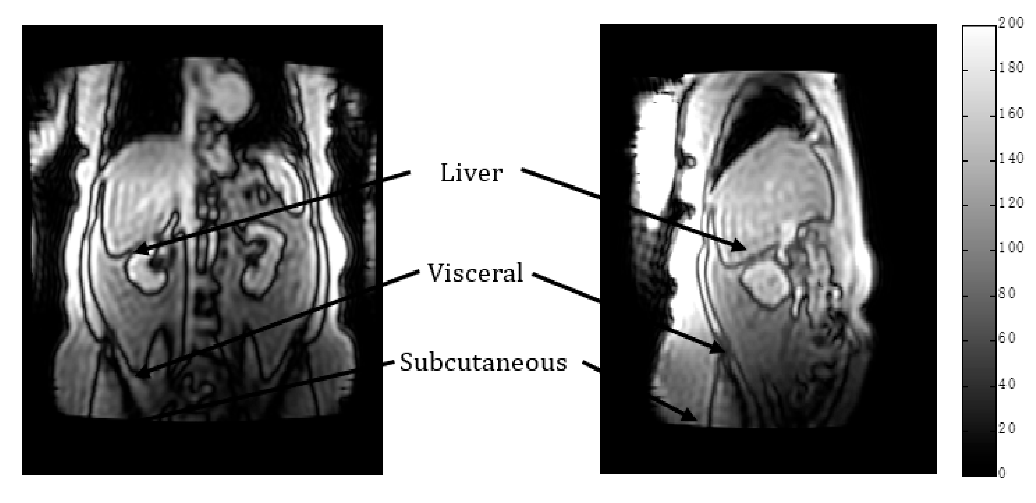 Biophysica 02 00002 g001