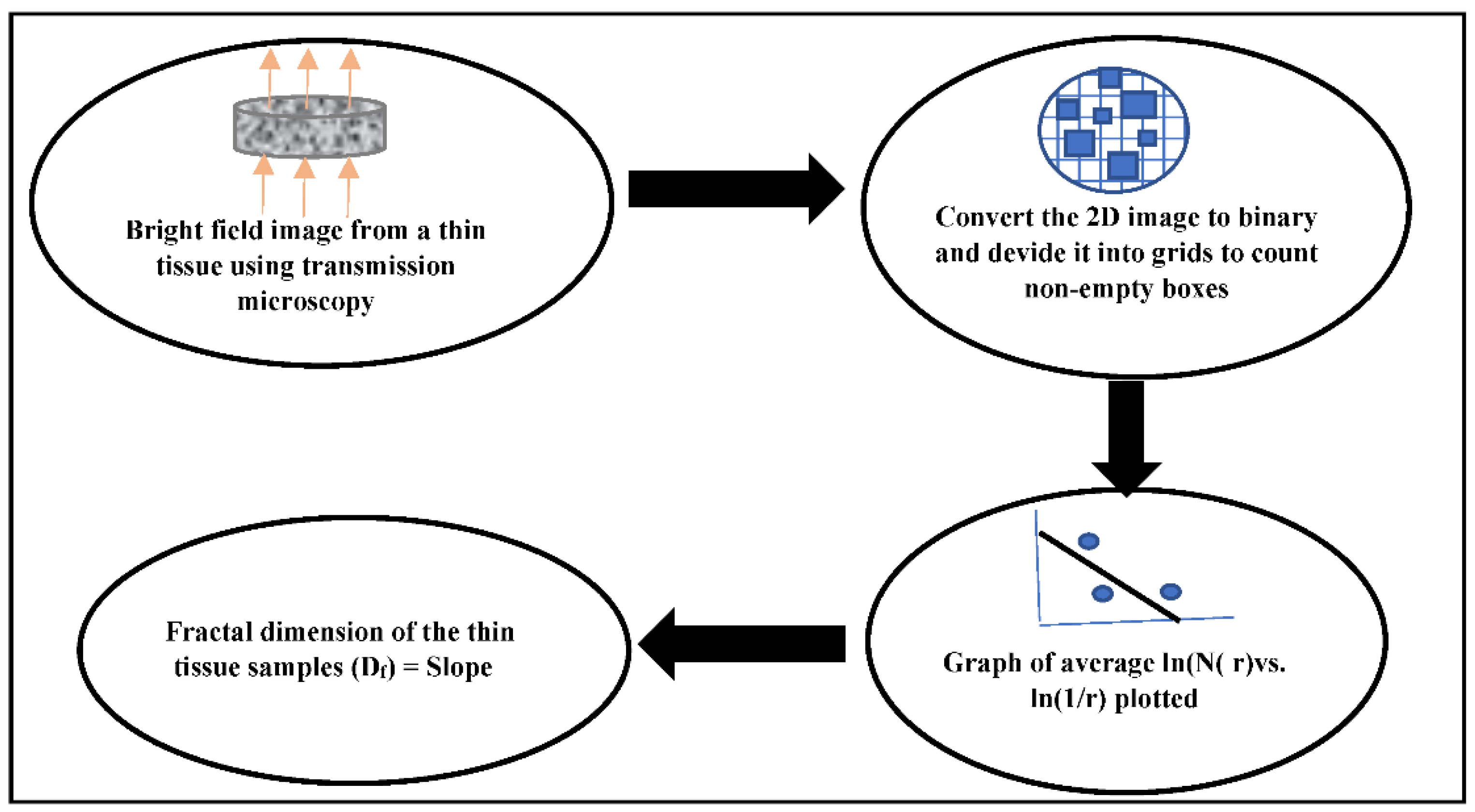 Biophysica 02 00005 g001