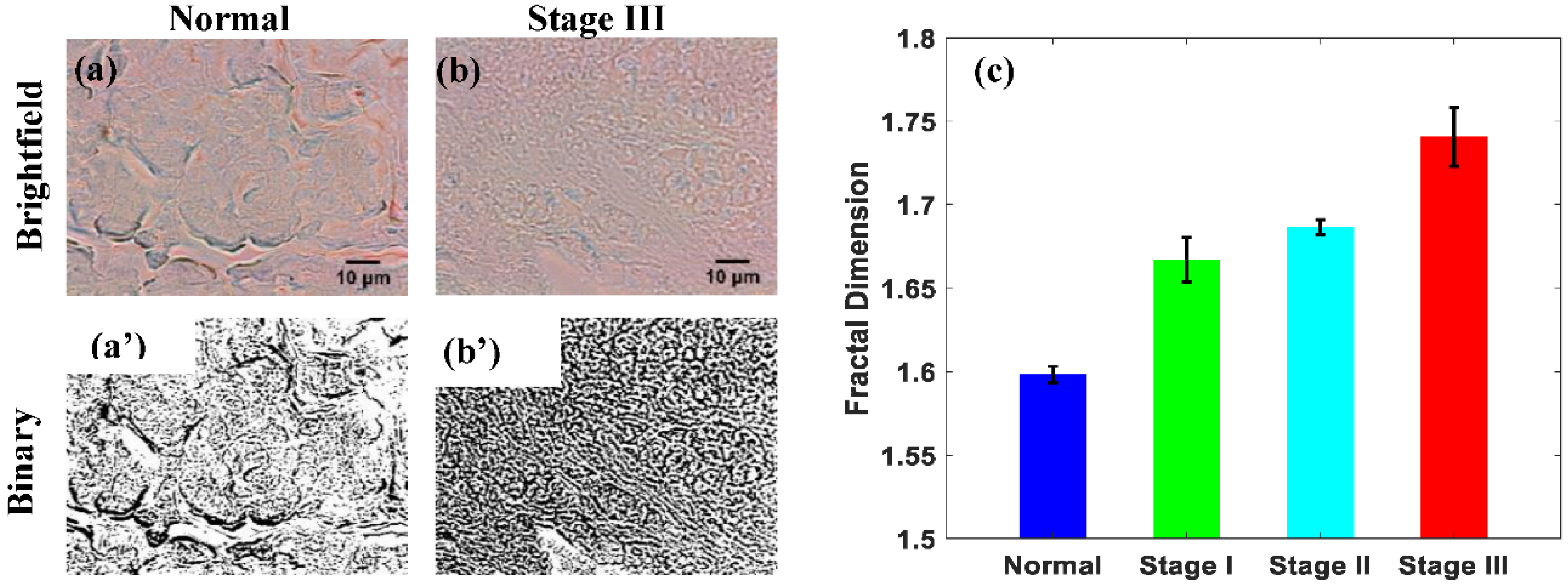 Biophysica 02 00005 g002