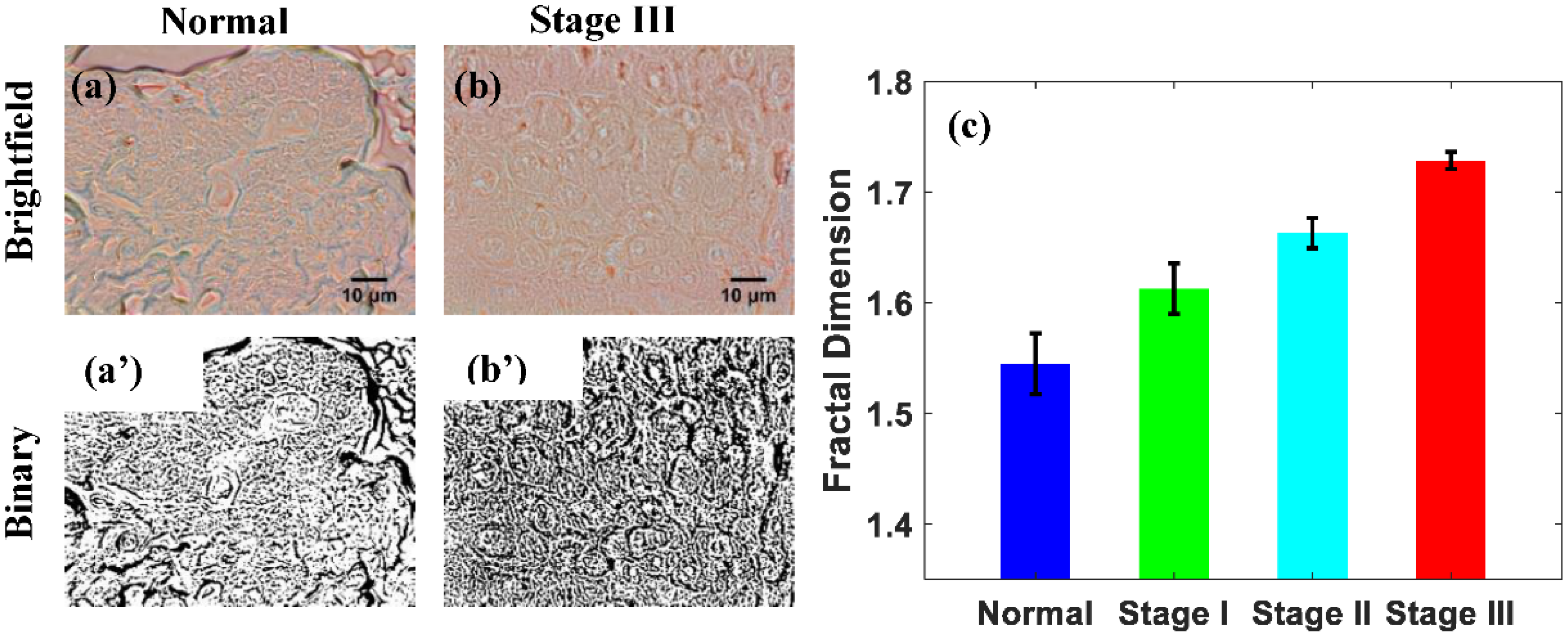 Biophysica 02 00005 g003