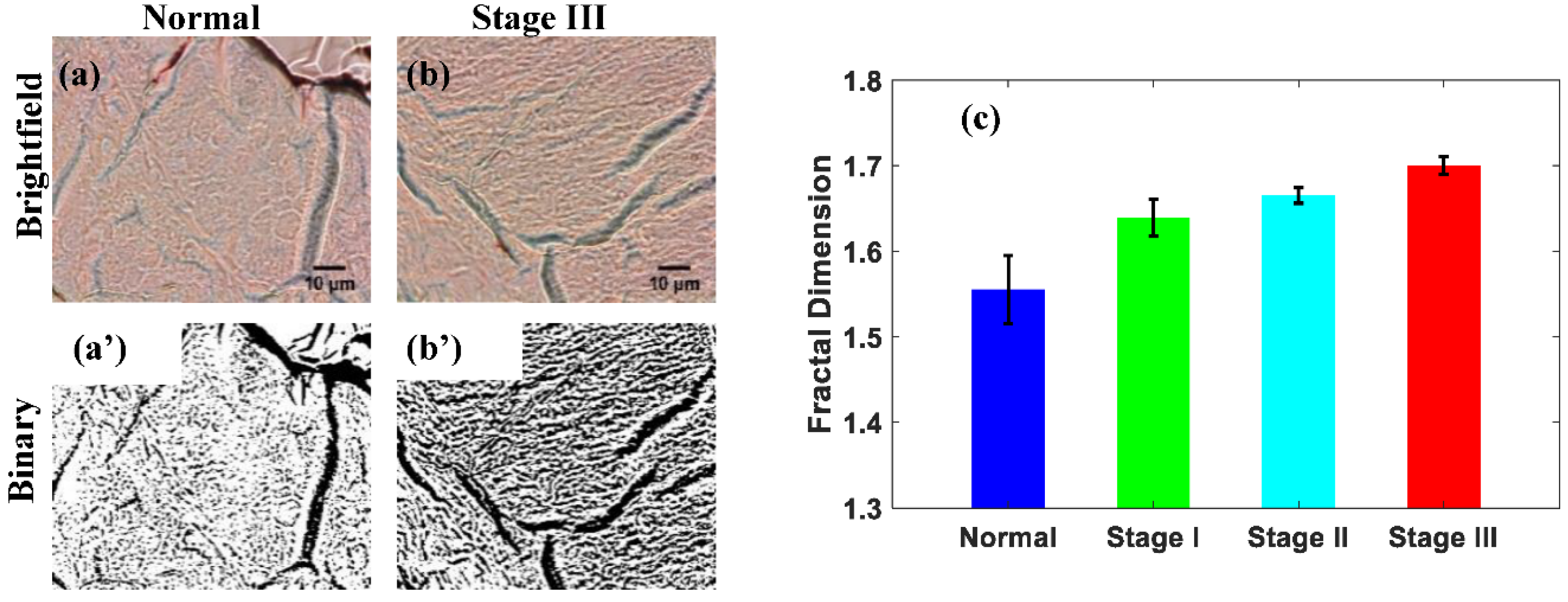 Biophysica 02 00005 g004