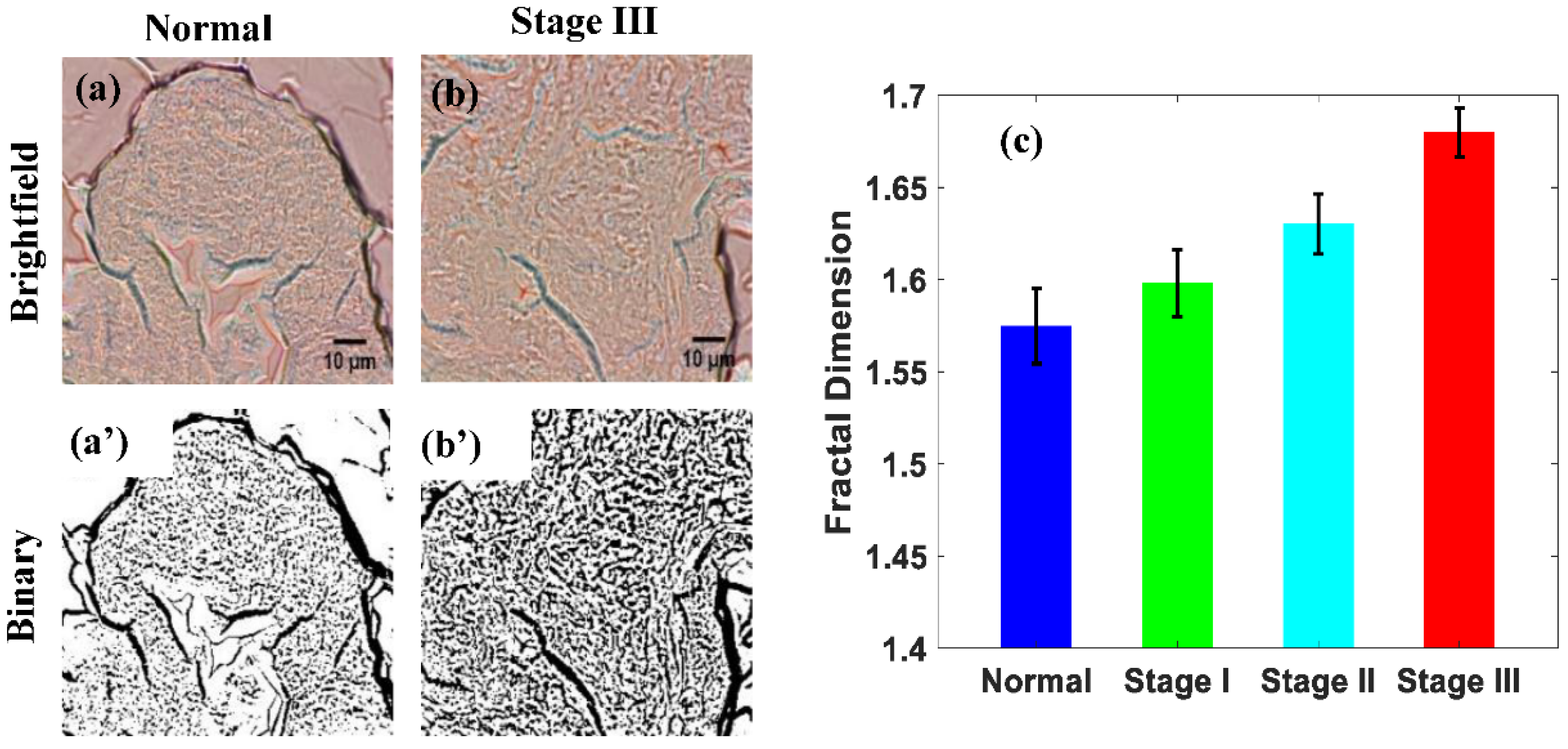 Biophysica 02 00005 g005