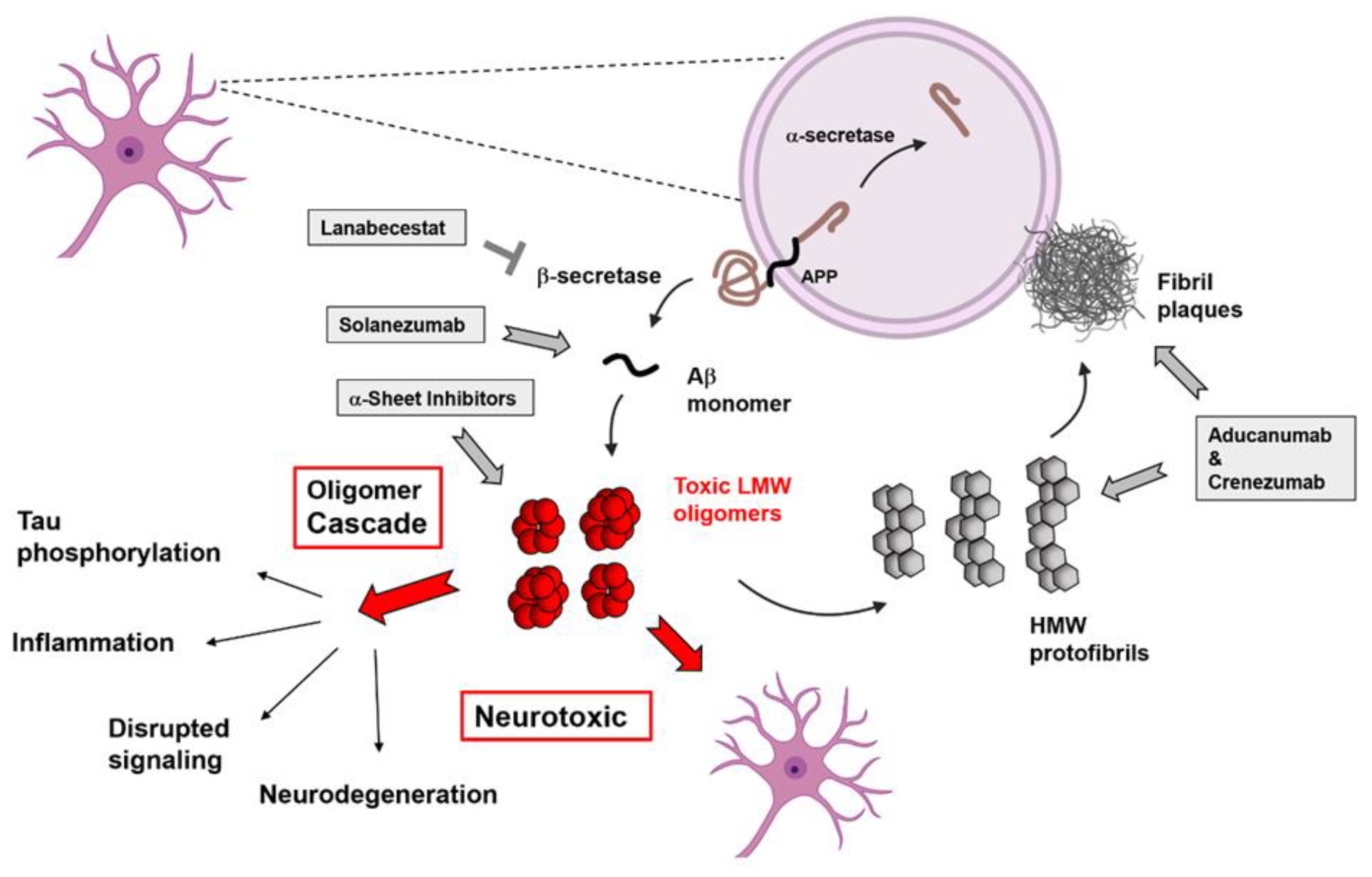 Biophysica 02 00010 g003