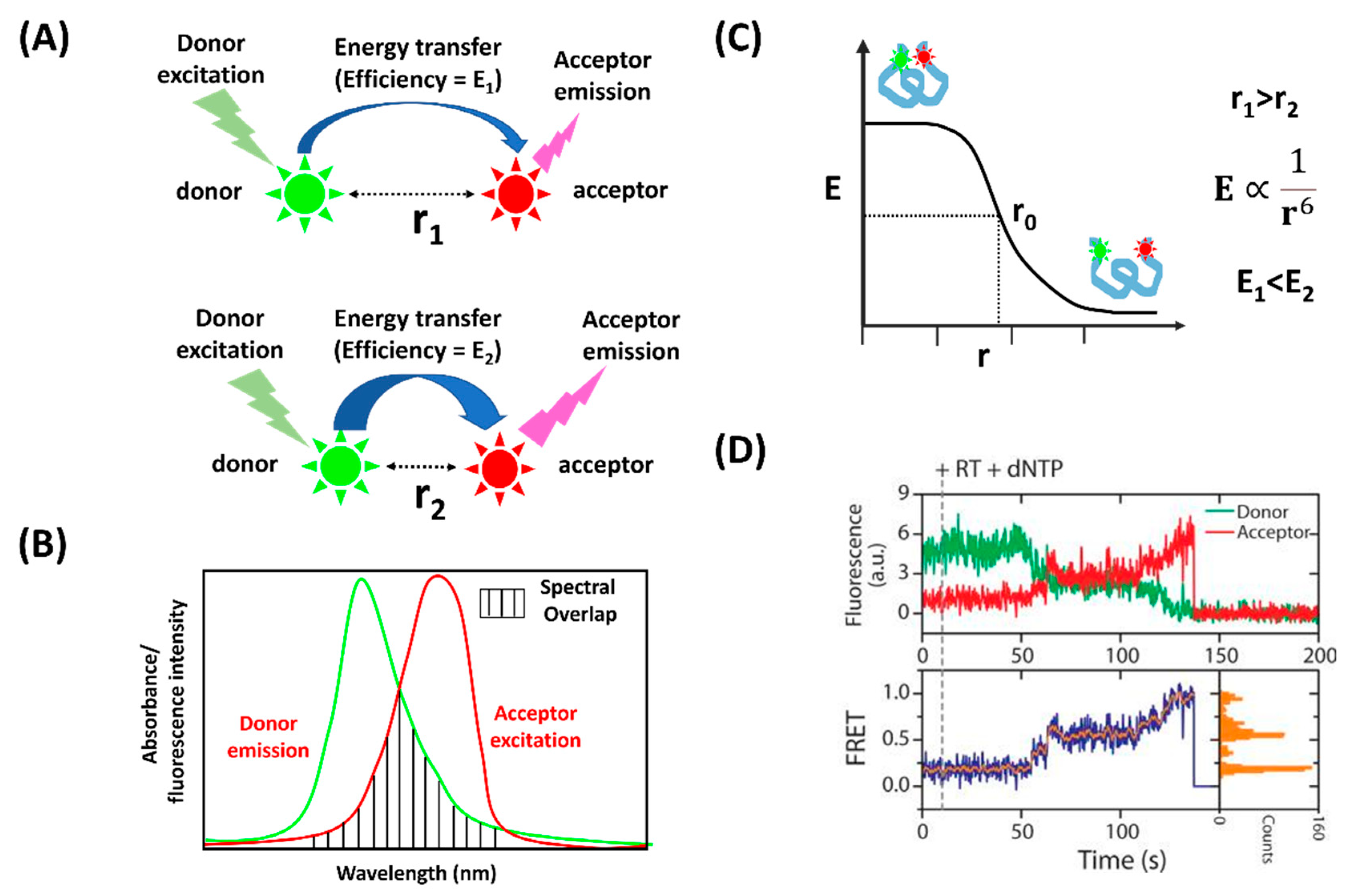 Biophysica 02 00014 g001