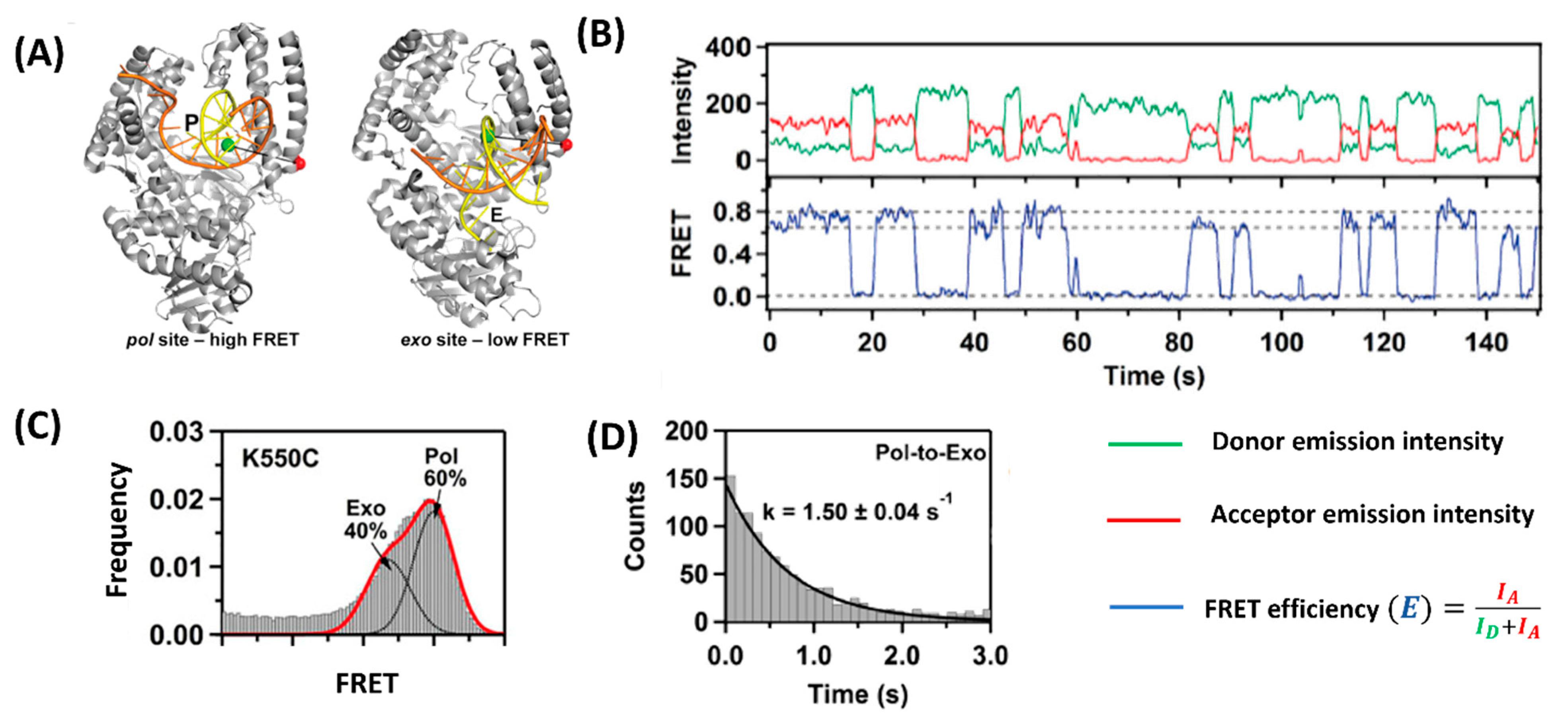 Biophysica 02 00014 g004