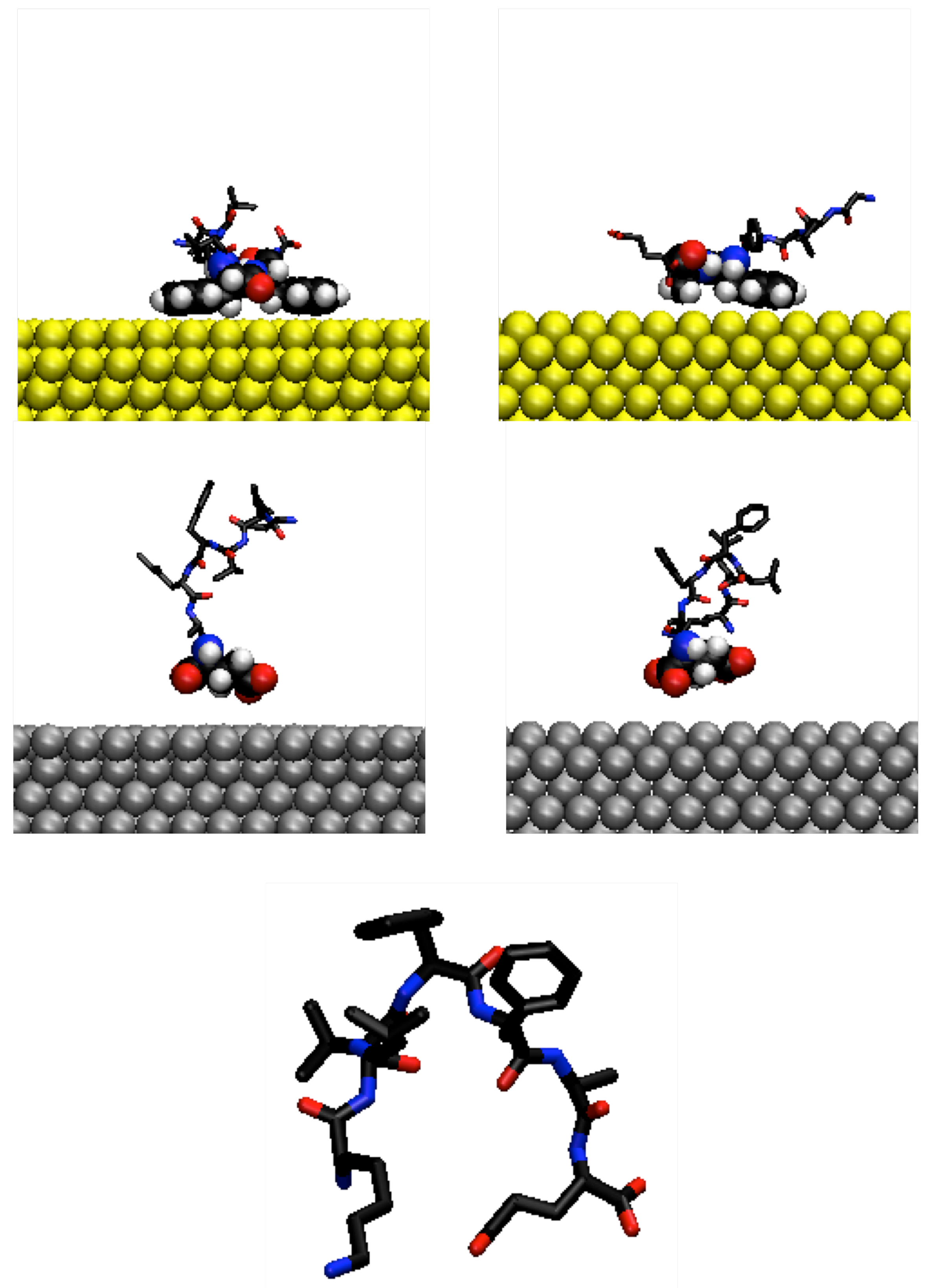 Biophysica 02 00015 g003