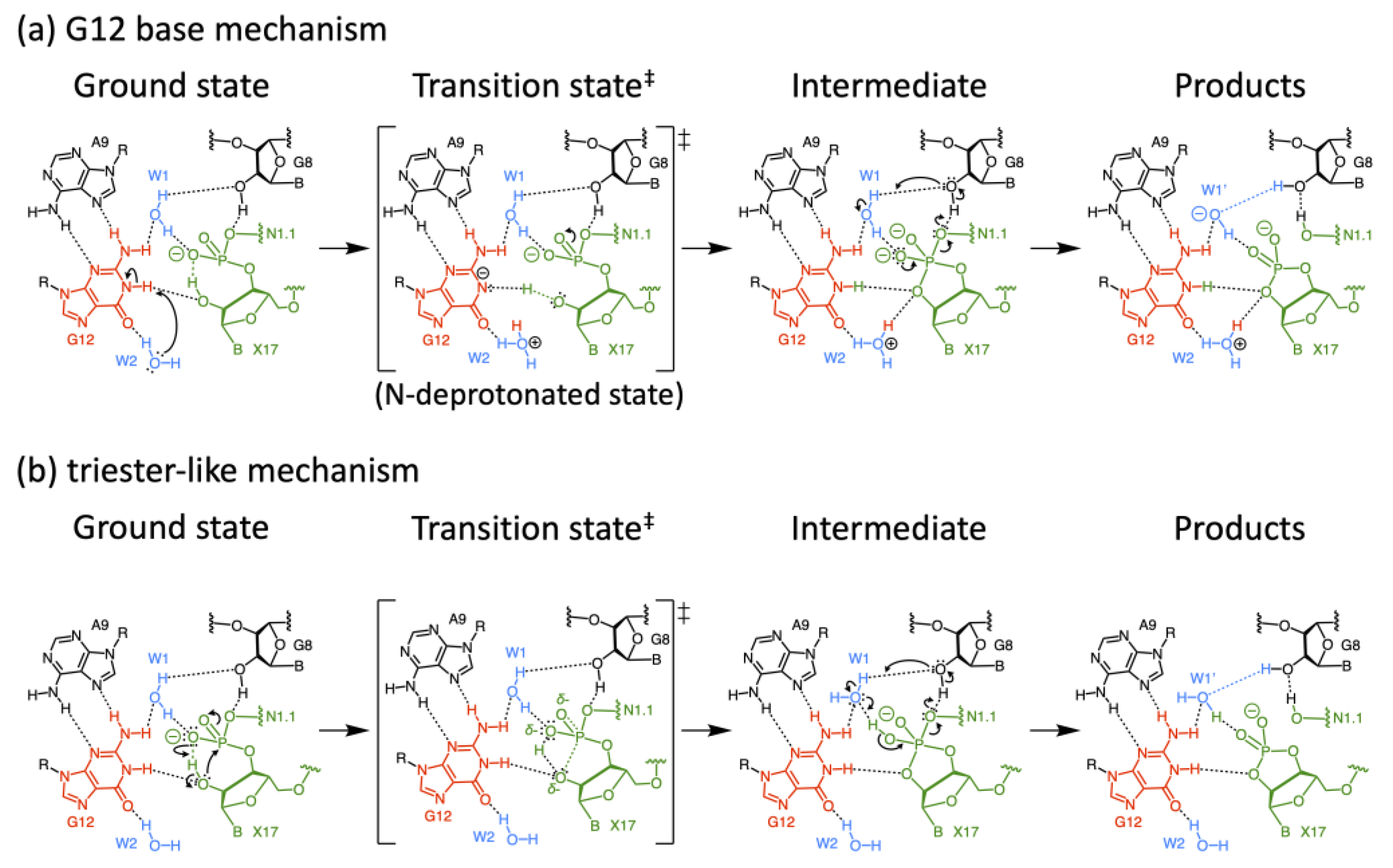 Biophysica 02 00022 g008 Biophysica 02 00022 g008