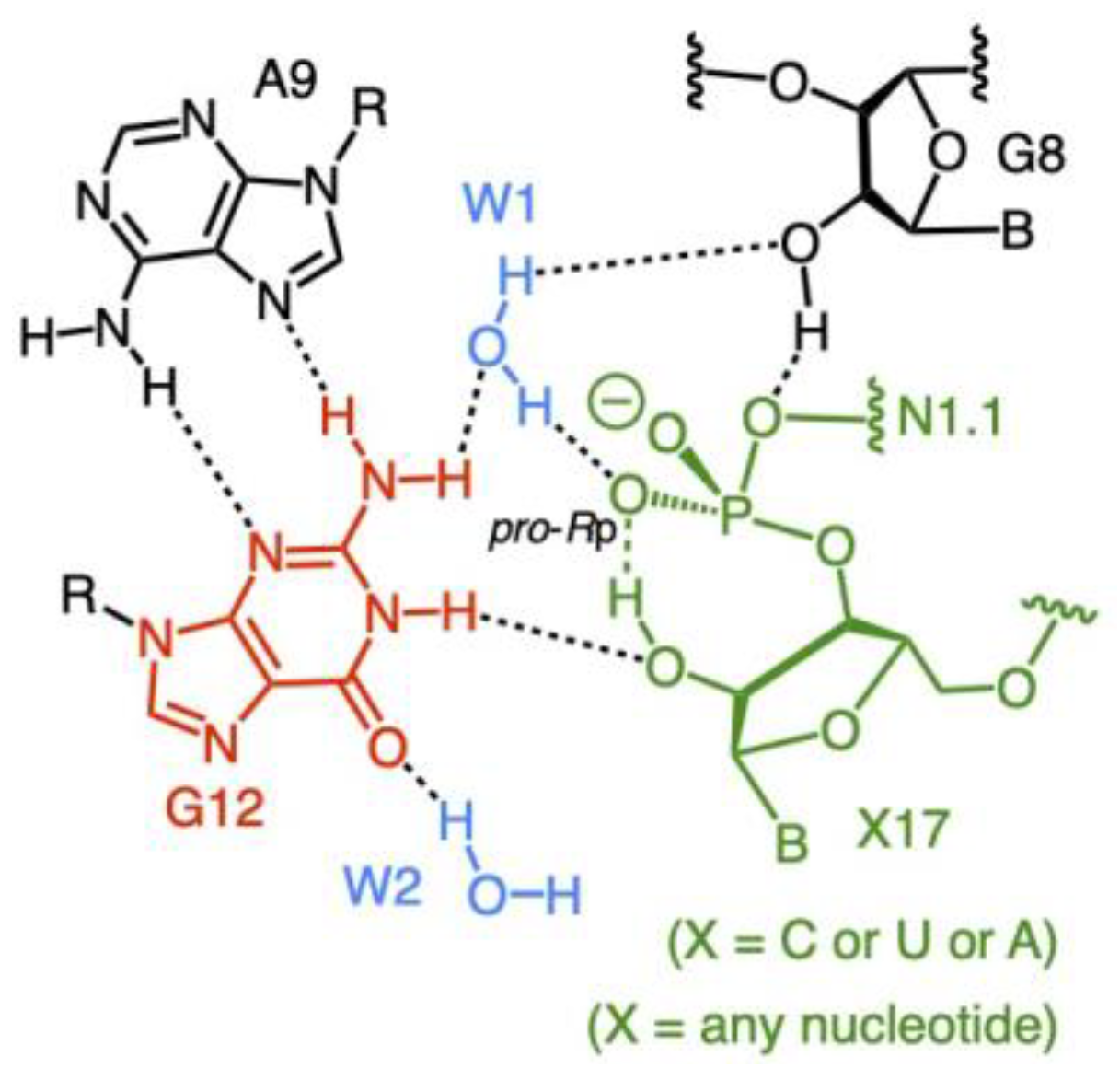 Biophysica 02 00022 sch002 Biophysica 02 00022 sch002