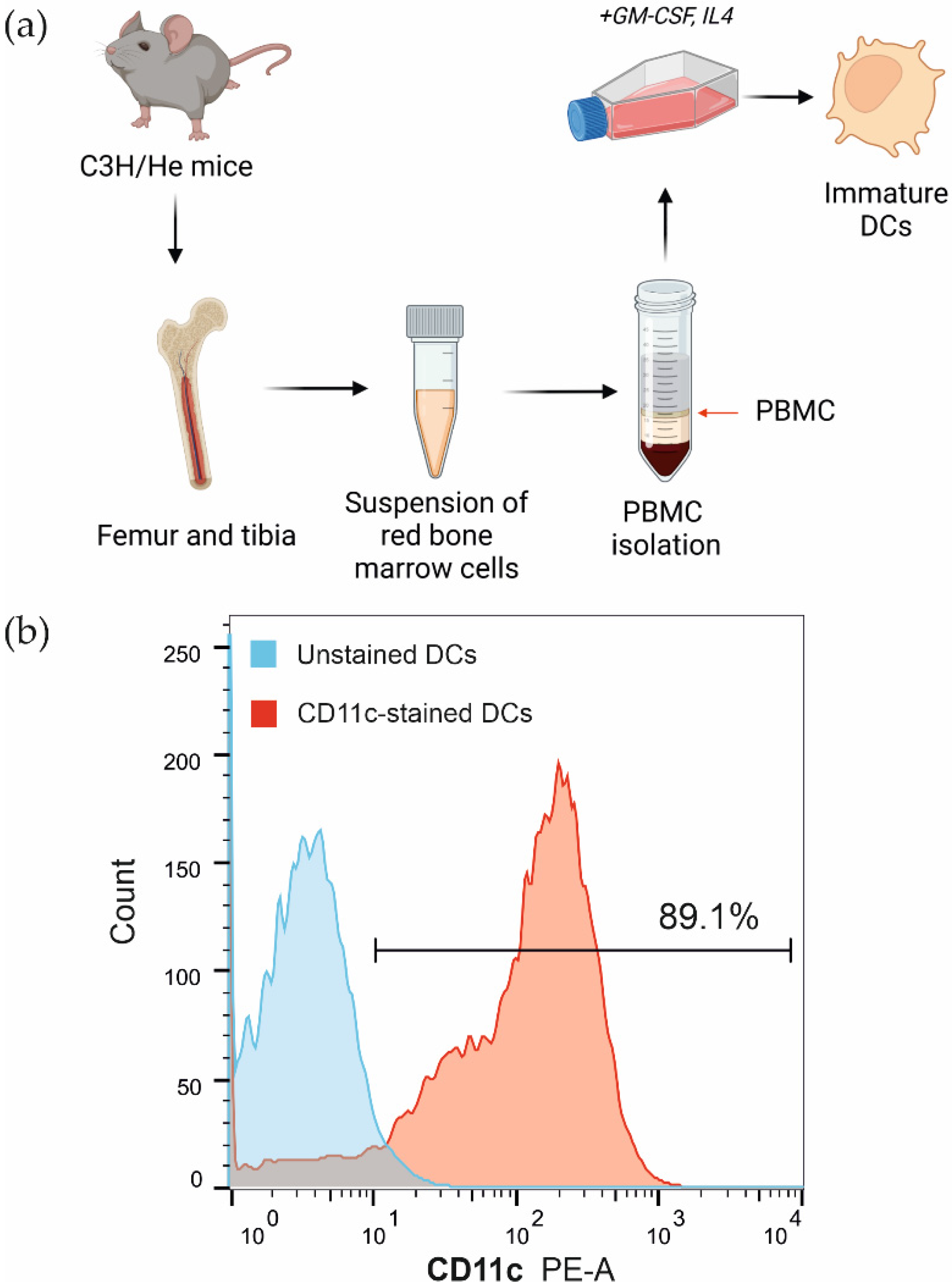 Biophysica 02 00025 g002 Biophysica 02 00025 g002