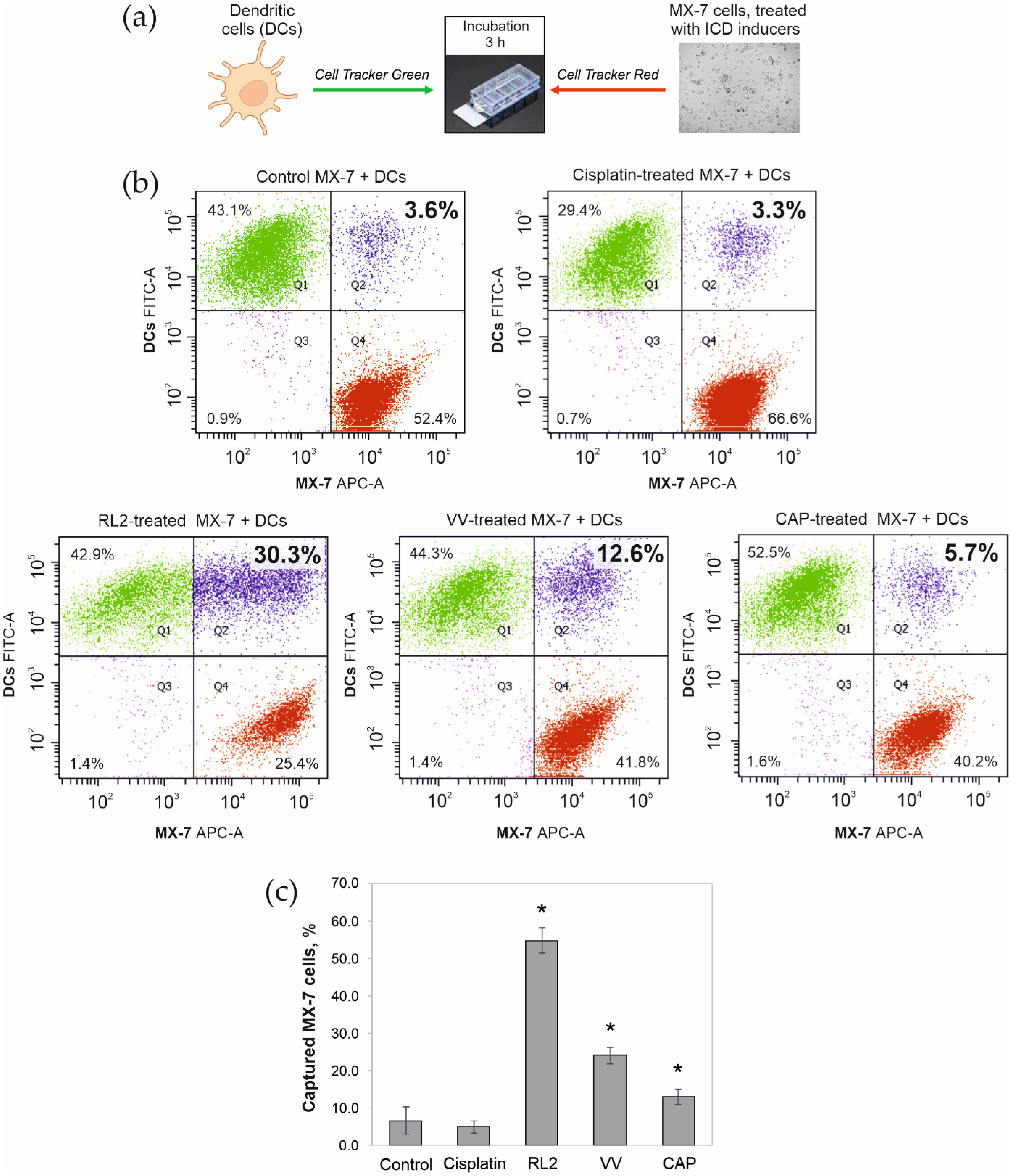 Biophysica 02 00025 g003 Biophysica 02 00025 g003