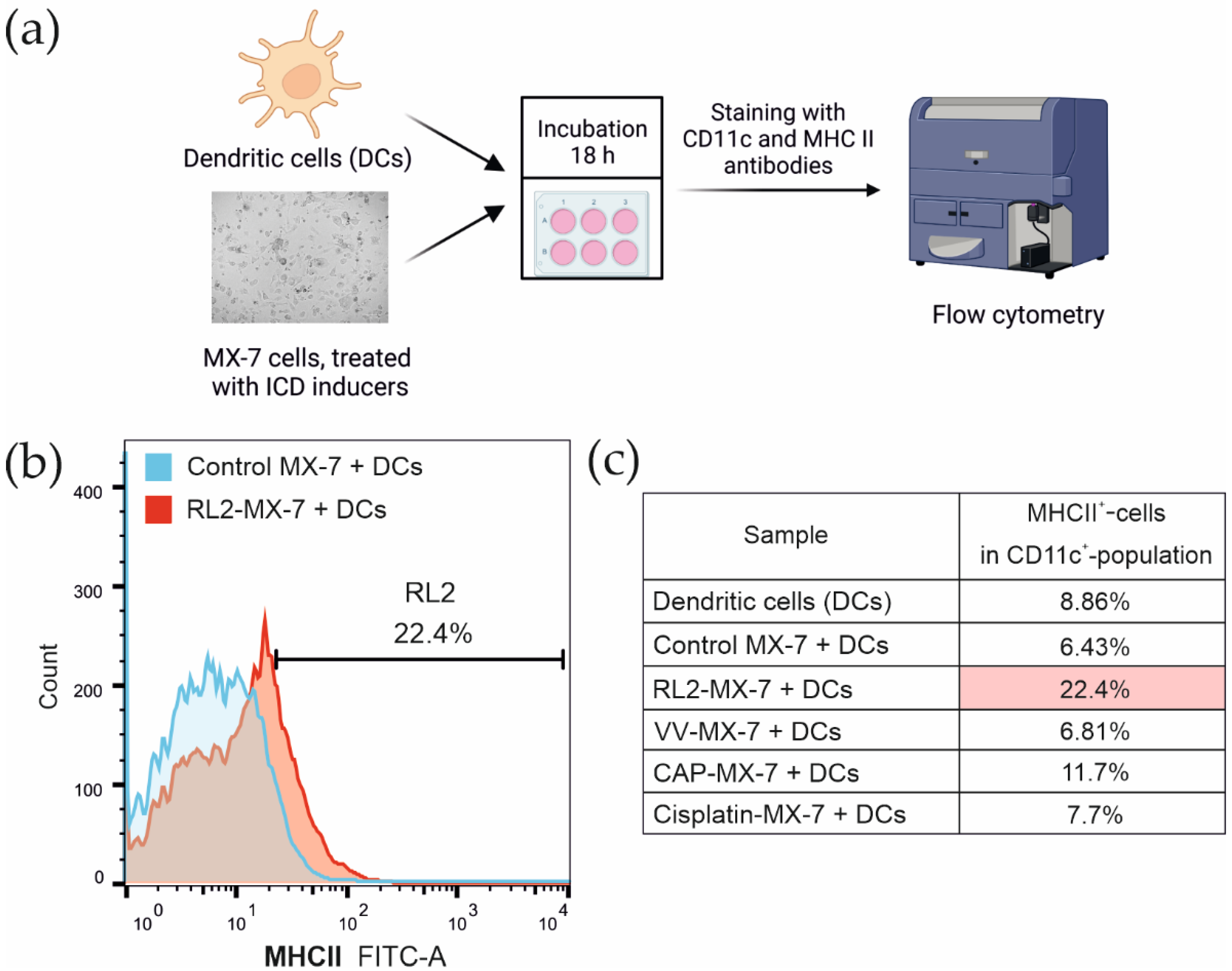 Biophysica 02 00025 g004 Biophysica 02 00025 g004