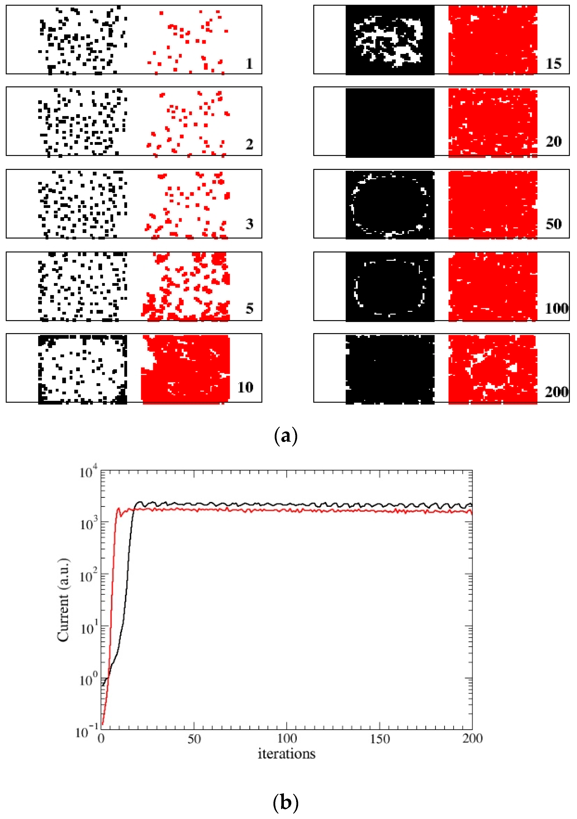 Biophysica 02 00026 g003